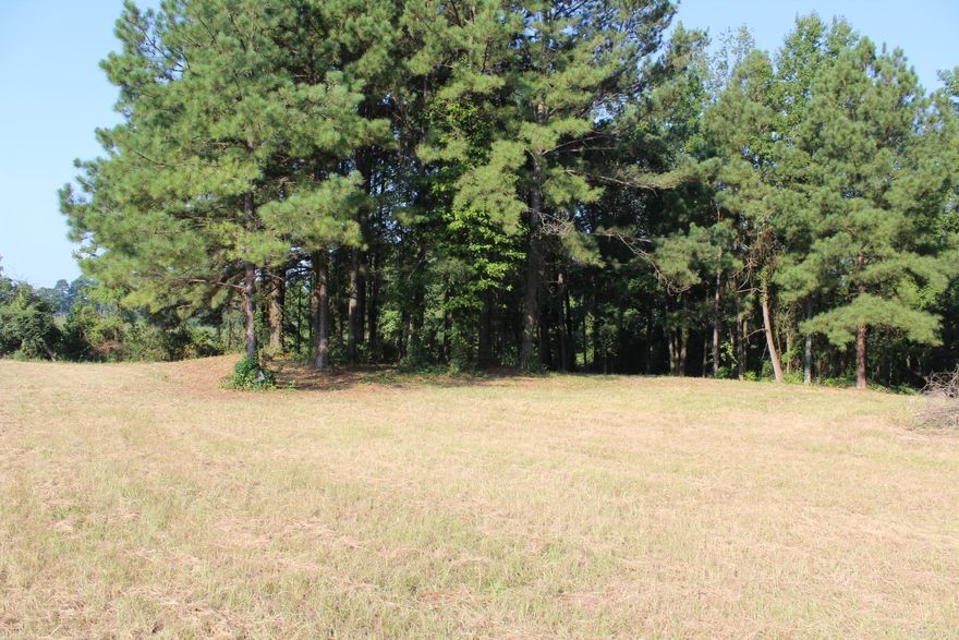Approx. 1.37 Acres available with Highway Frontage.  Located on HWY 27 N.