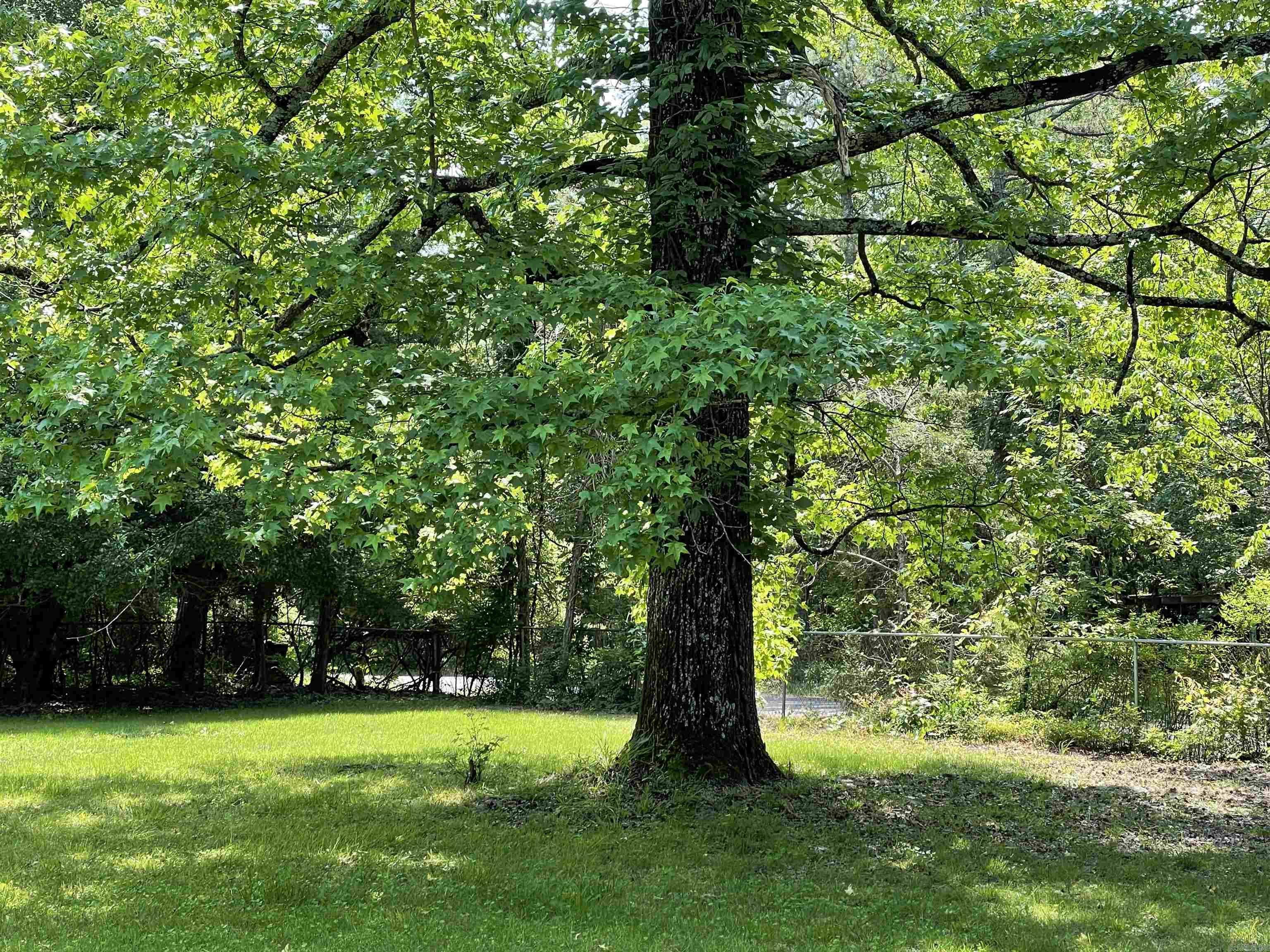 PINEY WOODS ESTATES - Residential