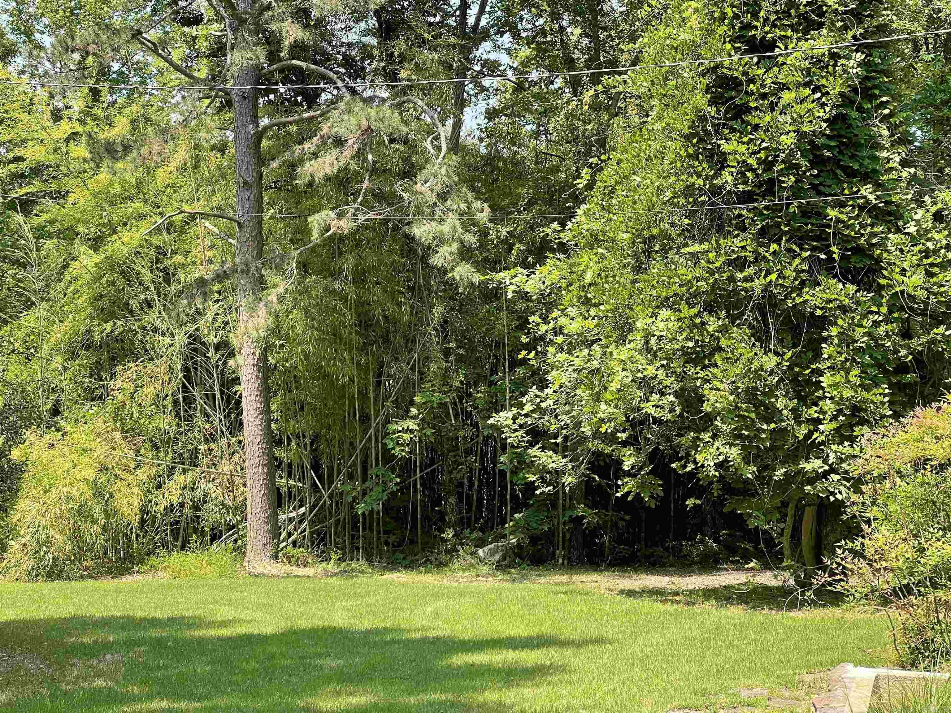 PINEY WOODS ESTATES - Residential