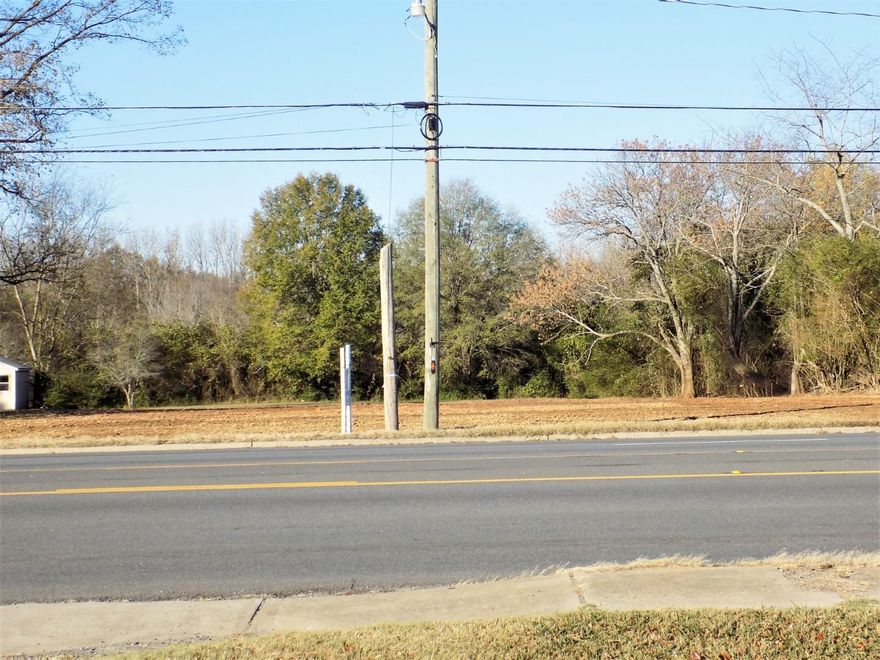 Down town Greenbrier with 127.86 ft of  highway 65 frontage. Great location for any business. Old house has been torn down as of 11-2022. Lot is 127.86ft  x420  1.23 acres