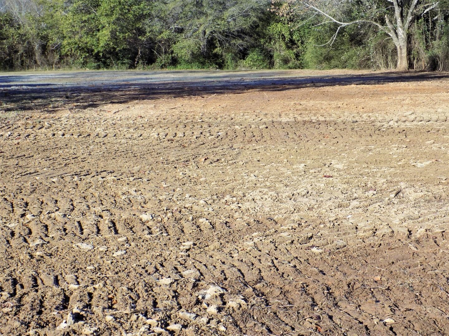 Greenbrier - Commercial Sale