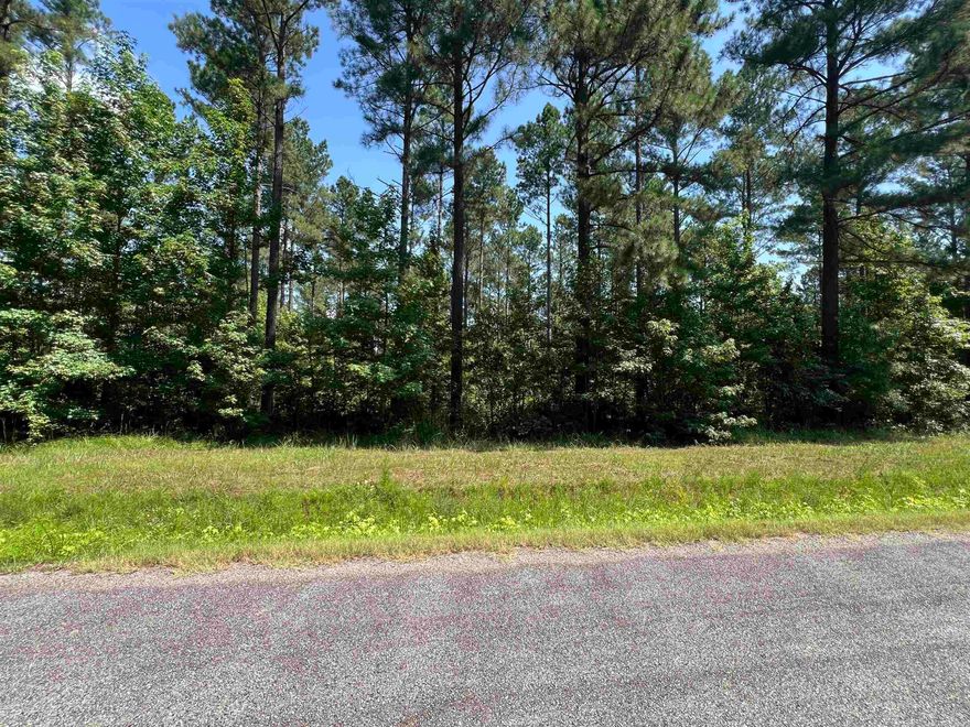 Discover peaceful country living just minutes from town! These two beautiful wooded lots are located outside the city limits of Searcy, Arkansas, on the paved and quiet Sammie Smith Road. Each lot measures approximately 180 feet wide by 500 feet deep, offering 2.06± acres of level ground blanketed in tall, mature pine trees. Mineral Rights will not convey to Buyer at Closing. Whether you're looking to build your dream home or invest in land with natural beauty and privacy, these lots offer a rare combination of convenience and seclusion. With flat terrain and easy road access, building will be straightforward—and minimal restrictions means you have the freedom to build the home you want. Enjoy the quiet surroundings while staying close to schools, shopping, and all the amenities of Searcy, located just a few minutes away. The paved road frontage makes for easy access, and city water and electricity are nearby. Each lot will need a septic system. Lots are available individually for $39,500 each, or purchase both for added space and privacy. Don’t miss your chance to own a slice of the Arkansas countryside. Seller Financing may be available.
