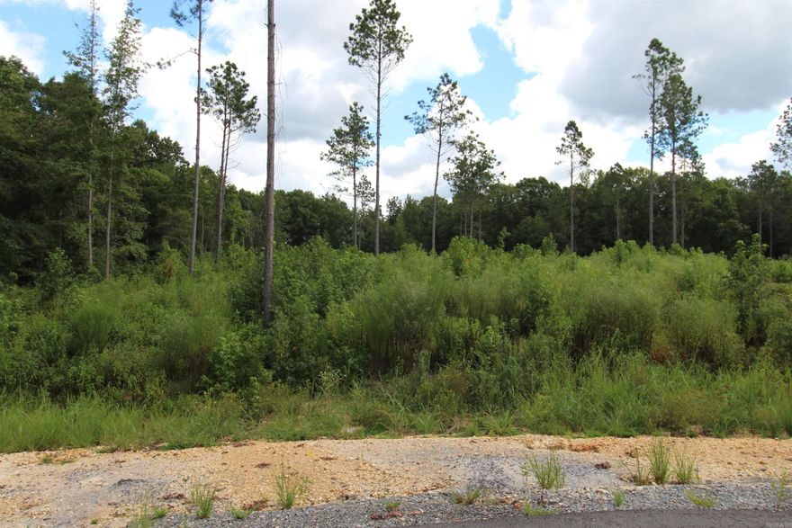 Cul-De-Sac lot*nice area to build your home and raise family*natural gas and water available*lots of constructions going on*this is phase two, phase one has sold out*the final plat, preliminary perc and covenants are under documents on the MLS*directions in pictures*Sheridan Schools*virtual tour link.