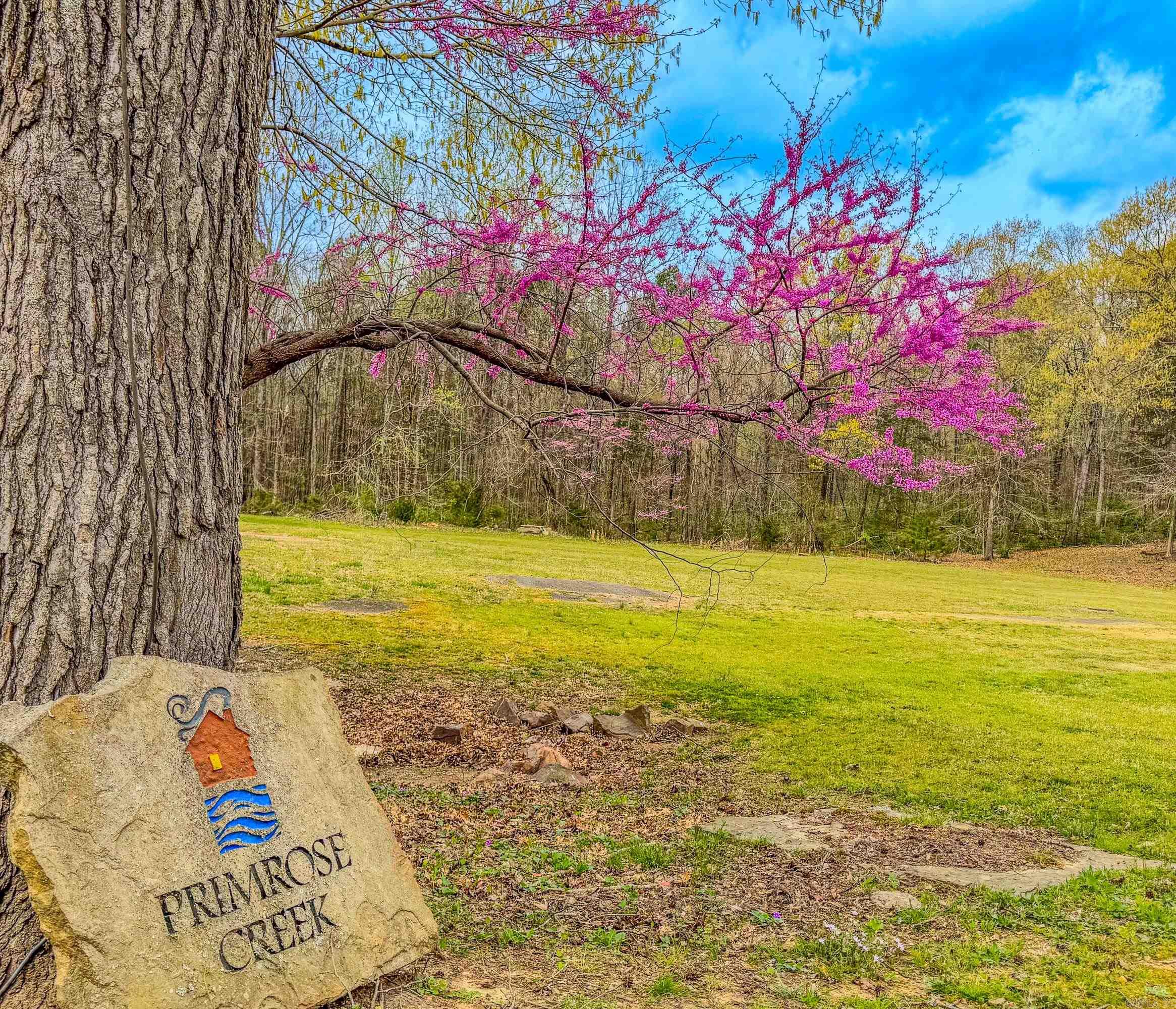 Primrose Creek Sayles - Residential