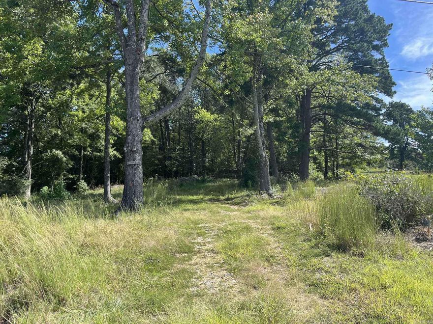 Nice large city lot ready to build on! Near McMillian Park, has all utilities at the property.