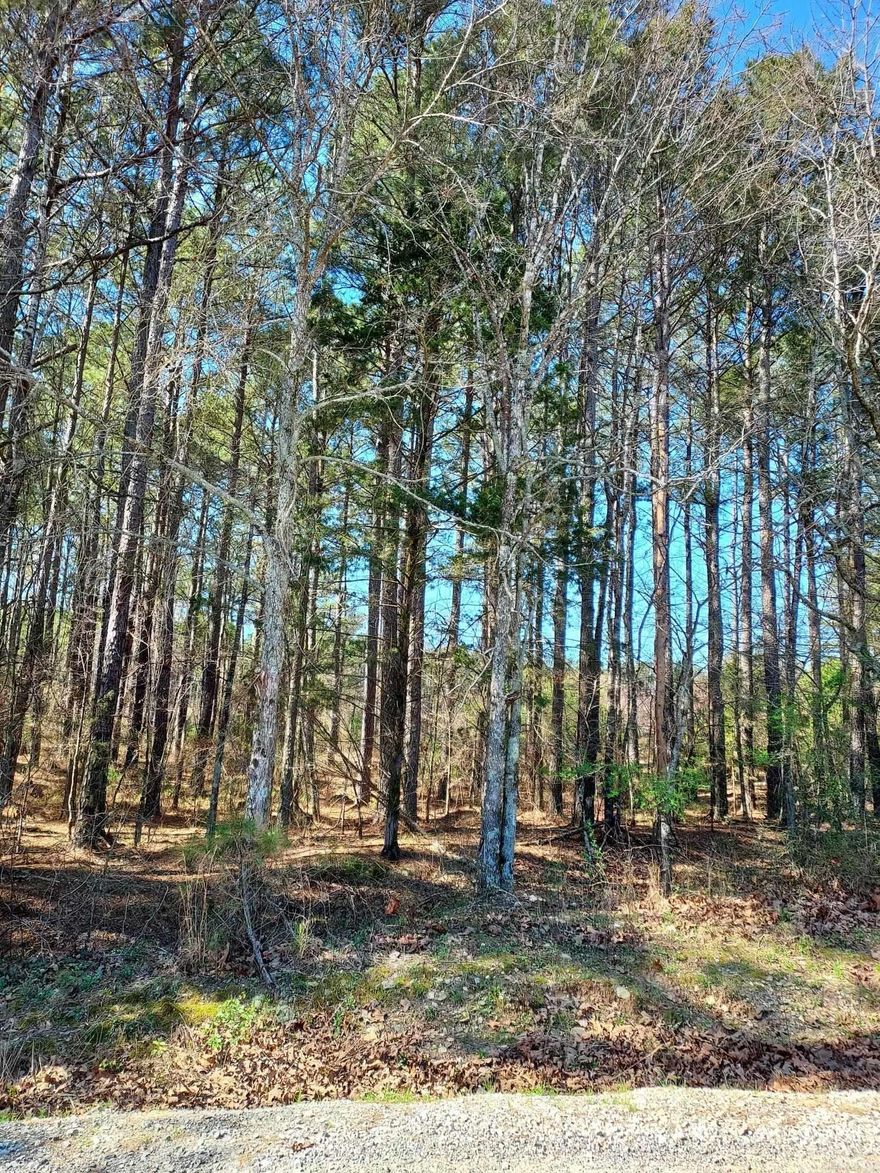Wonderful level lot in great location. Near the Village East Gate in Isabella Golf Course neighborhood. Many beautiful homes already existing. Build your dream home here. Hot Springs Village Property Owner Association has a new member buy-in fee of $300.00 due and collected at closing.