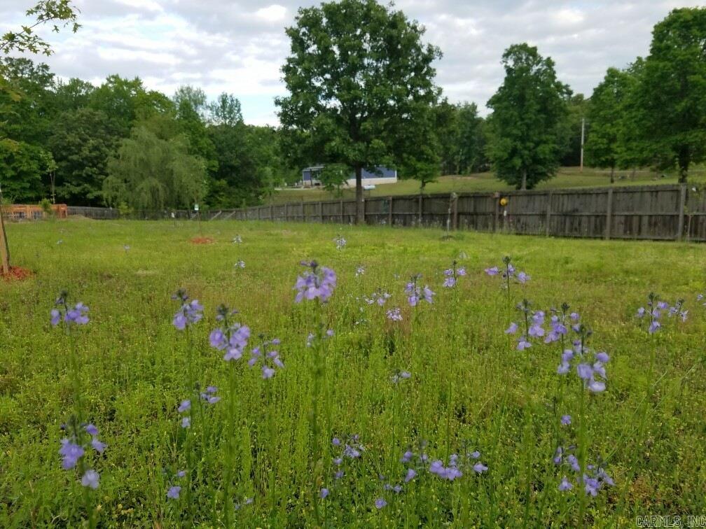 HICKORY NUT RIDGE - Residential