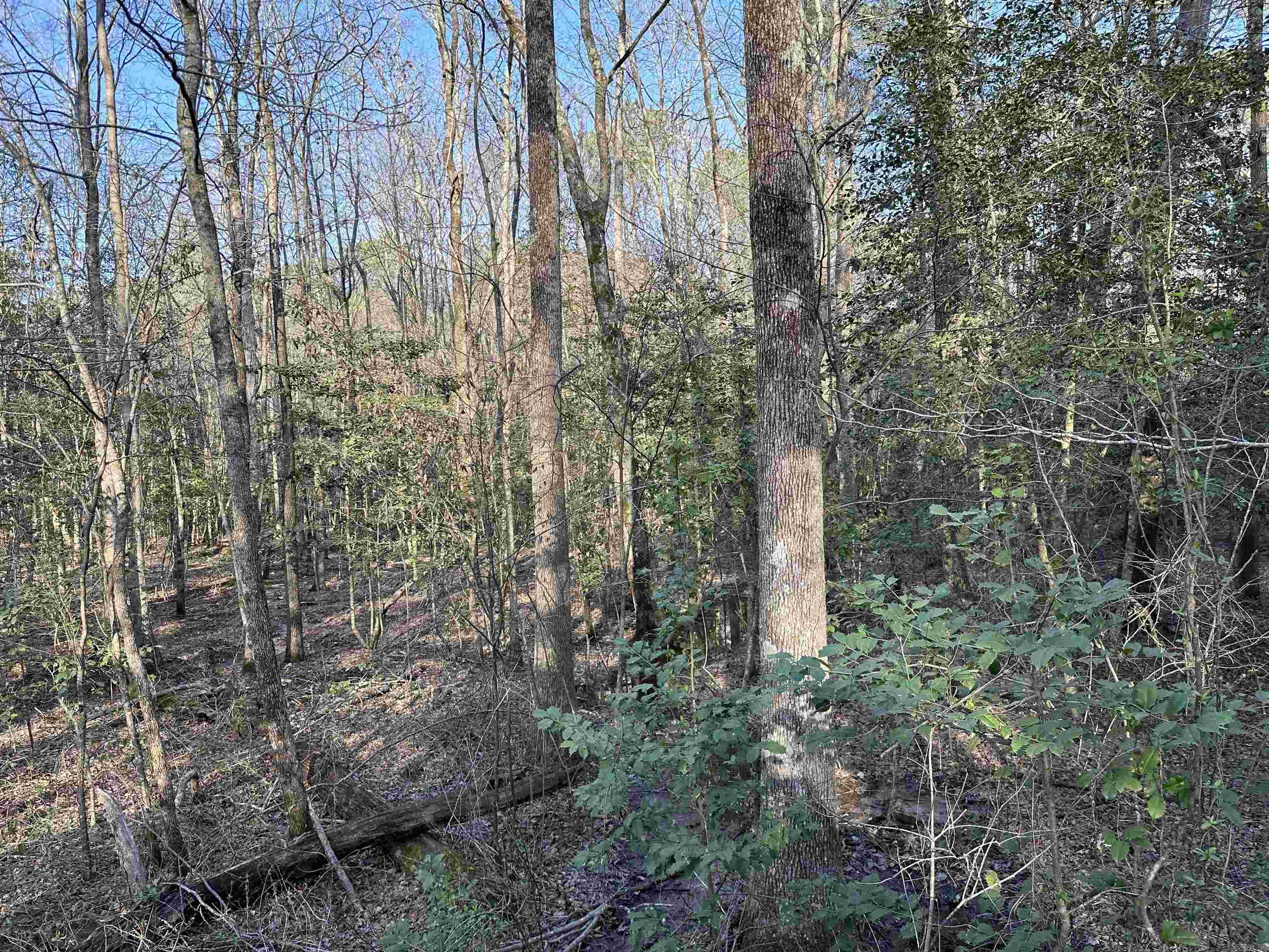 East End Community - Residential