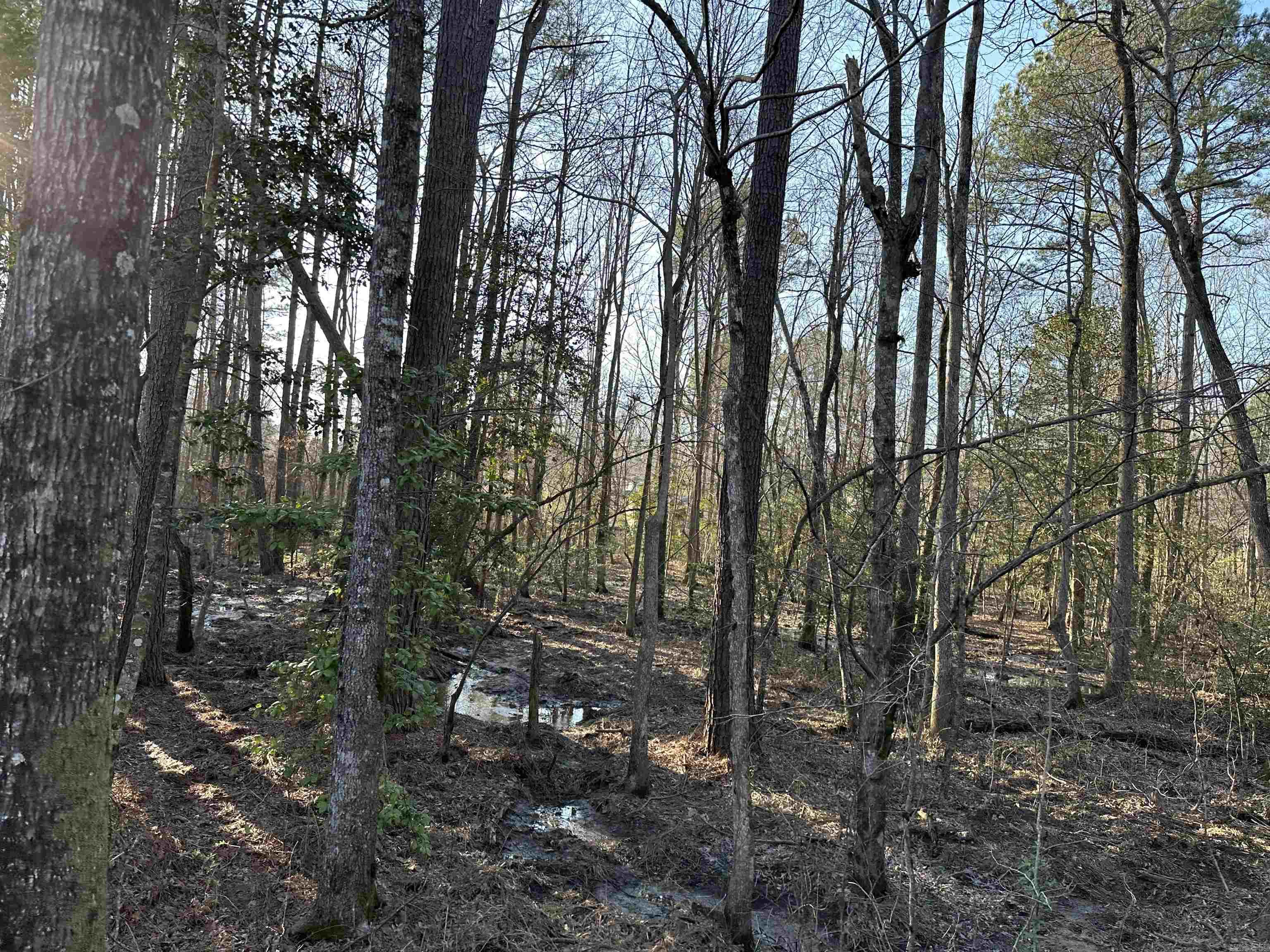 East End Community - Residential