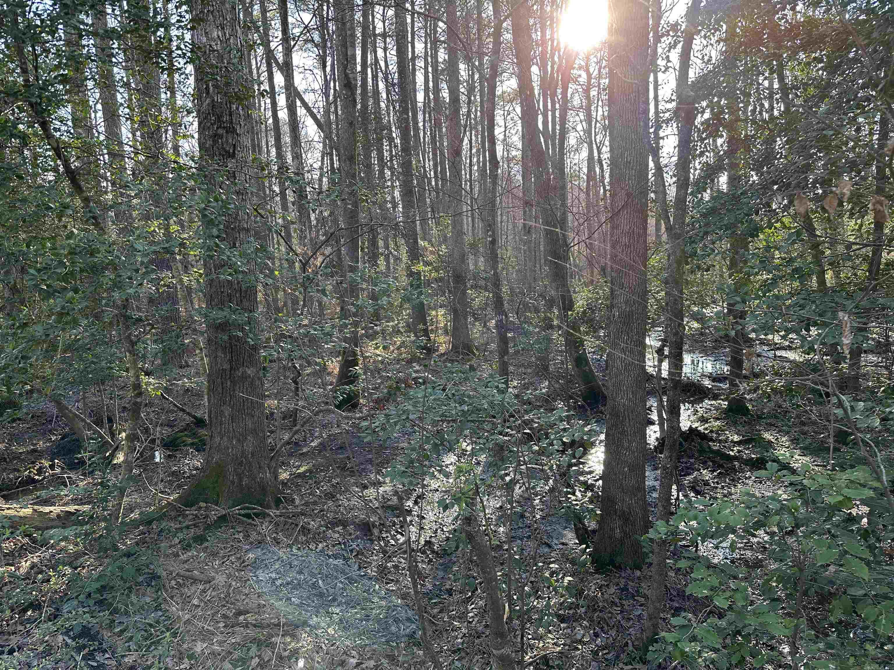 East End Community - Residential