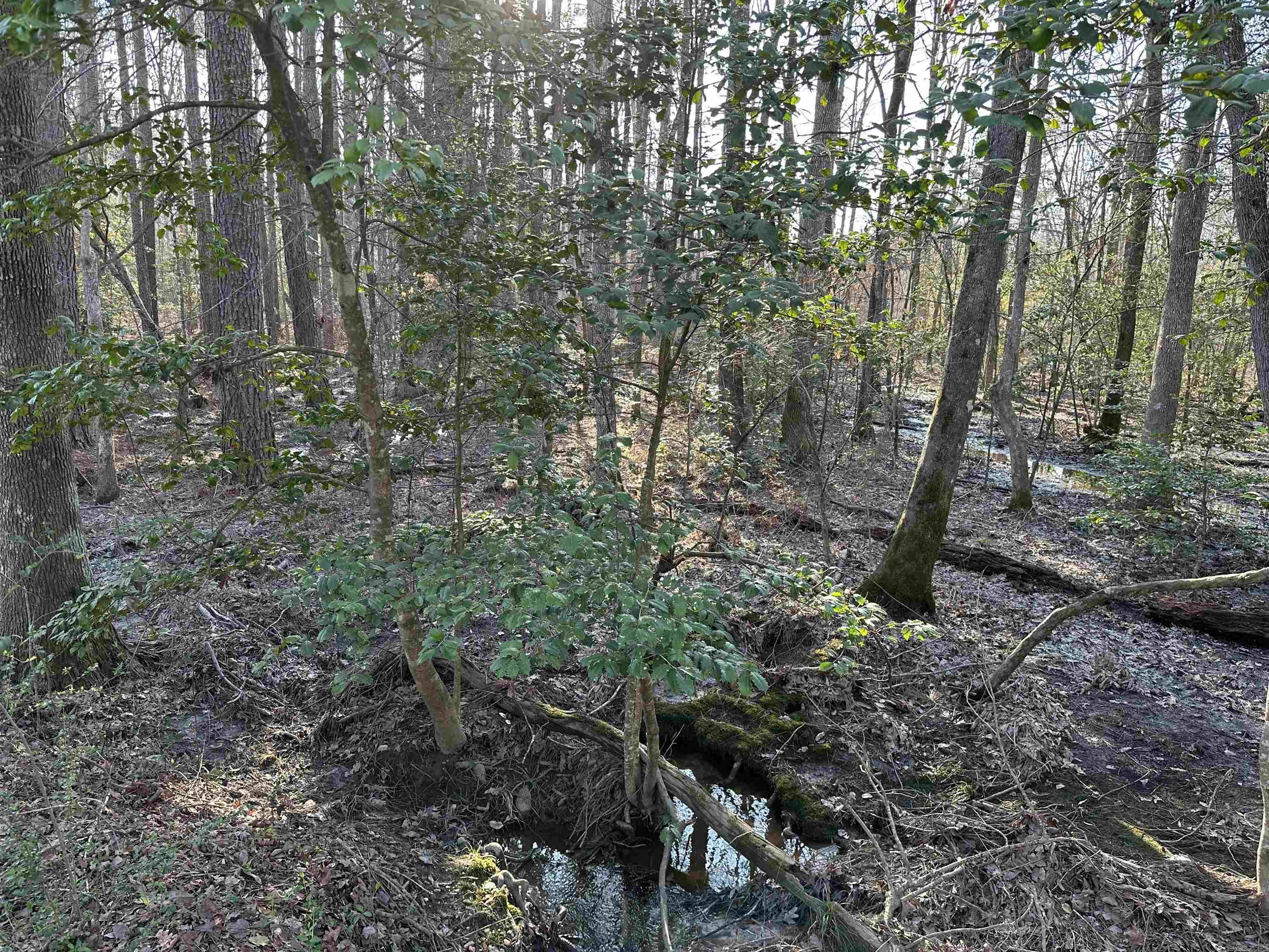 East End Community - Residential