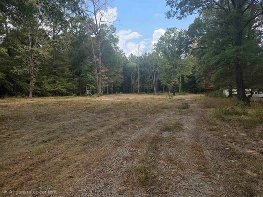 6532 SAYLES RD, JACKSONVILLE, AR 72076 - Image be4b74804e861f8c3b7e39ac8aa7ff47/67232896