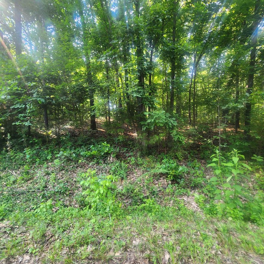 Beautiful wooded lot in Cherokee Village. Located in an established neighborhood near the Southfork River. Close to the town Center and The Lake Thunderbird Center as well. Come See this lot with a gentle uphill slope and pick out your building spot for your new home, Cottage or retirement retreat. Cherokee Village has Two 18-Hole Golf Courses & Lakes and the beautiful Southfork river flowing through it.
