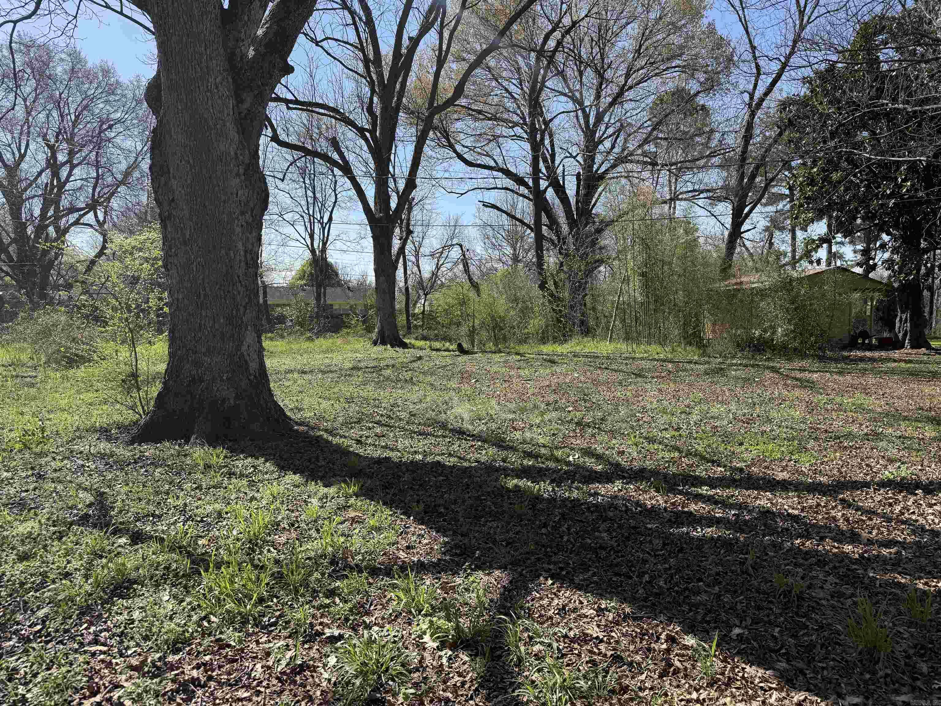 BEECH GROVE - Residential