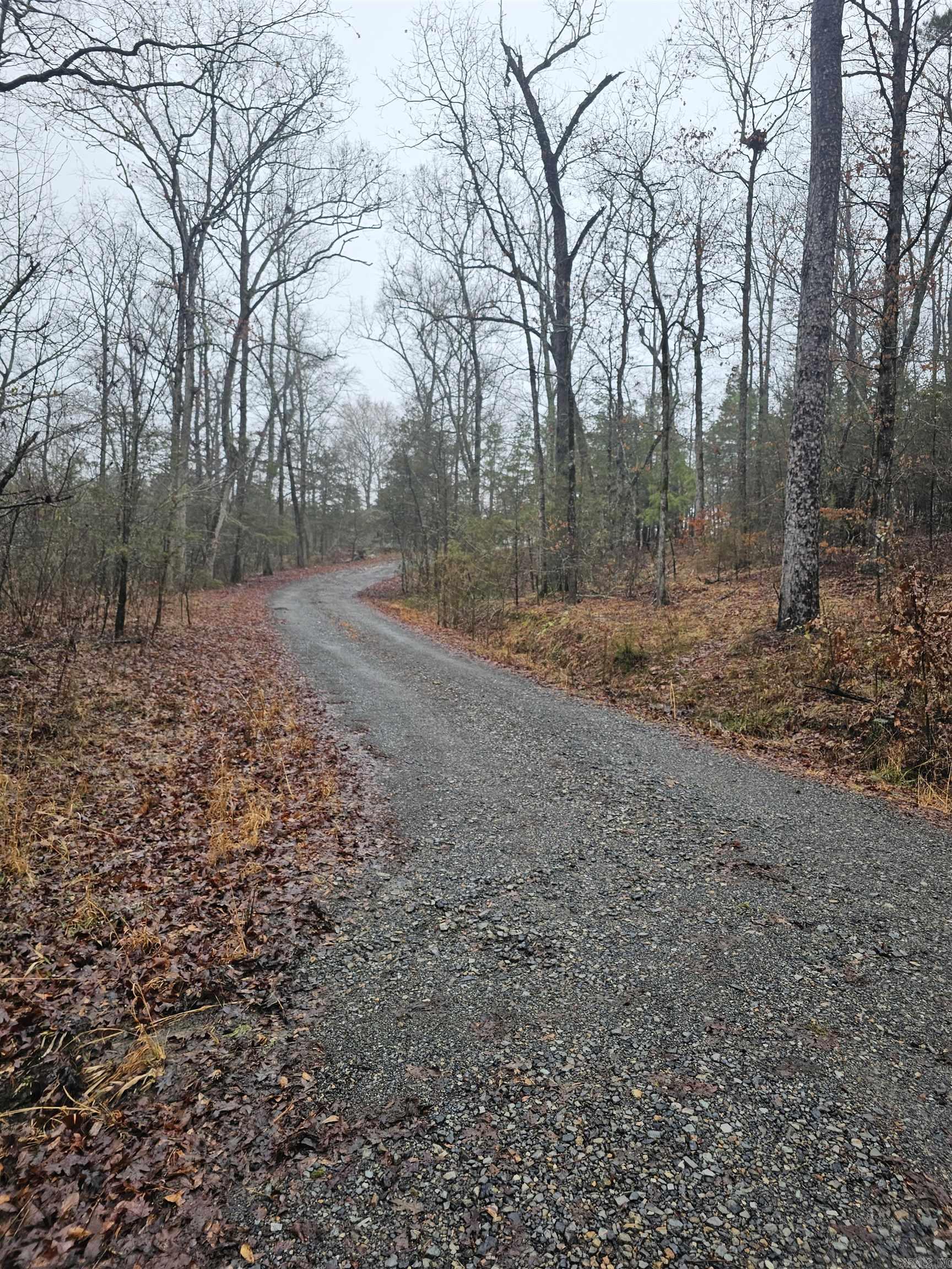 Lake Wilhelmina - Residential