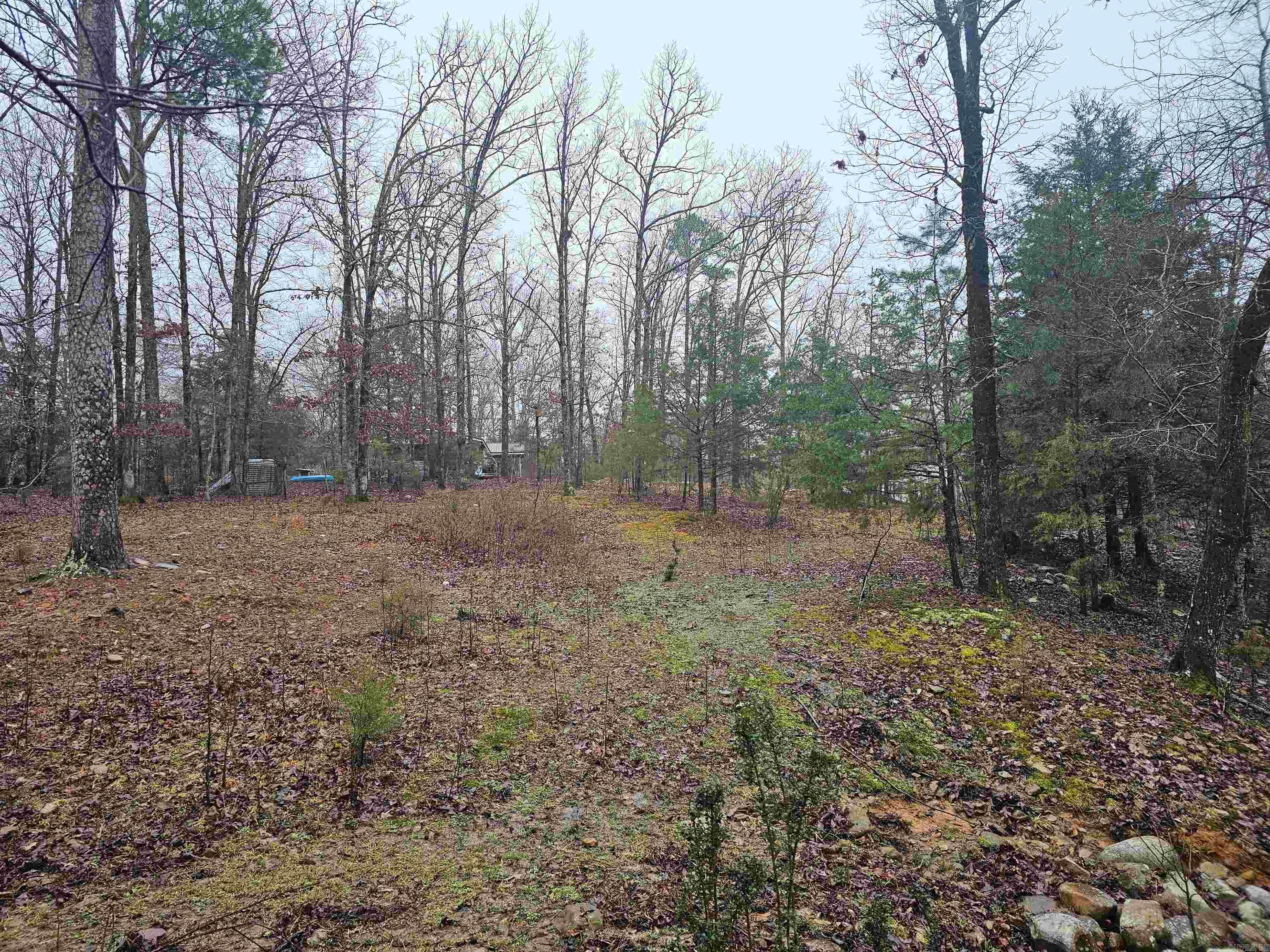 Lake Wilhelmina - Residential