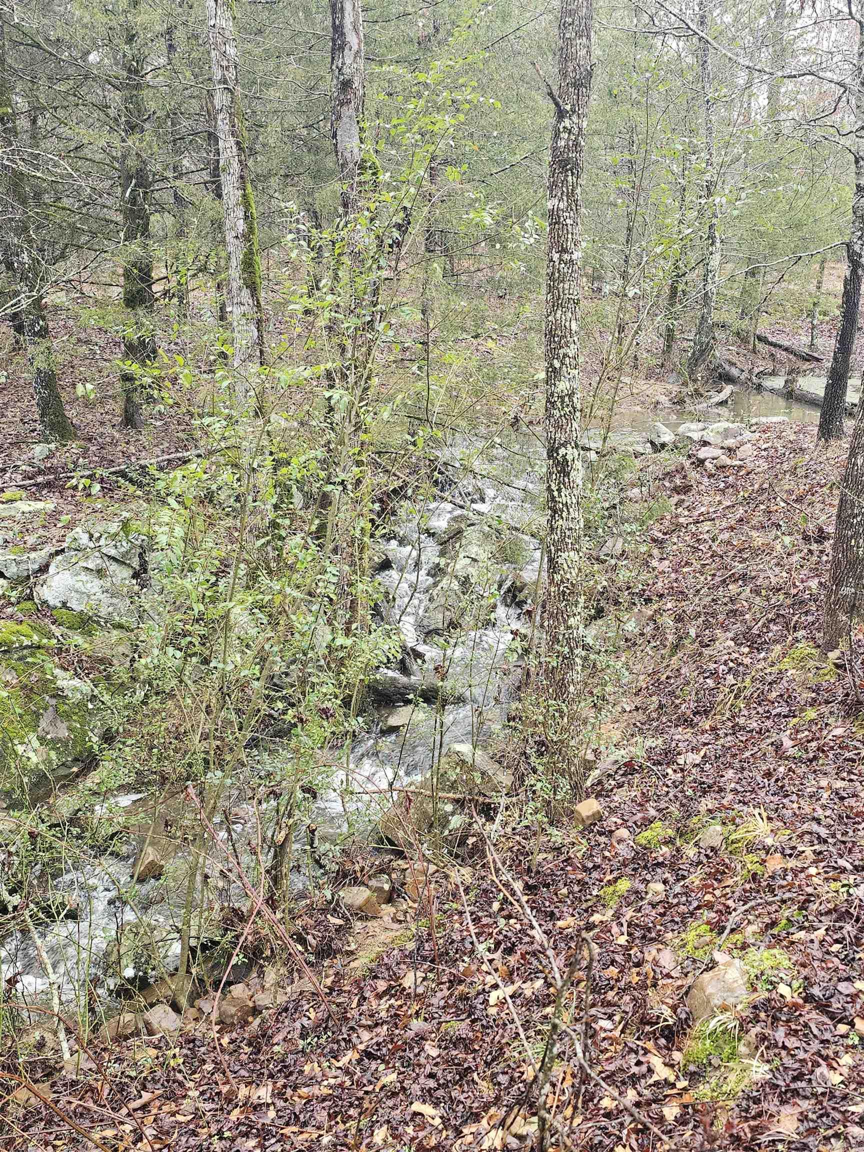 Lake Wilhelmina - Residential