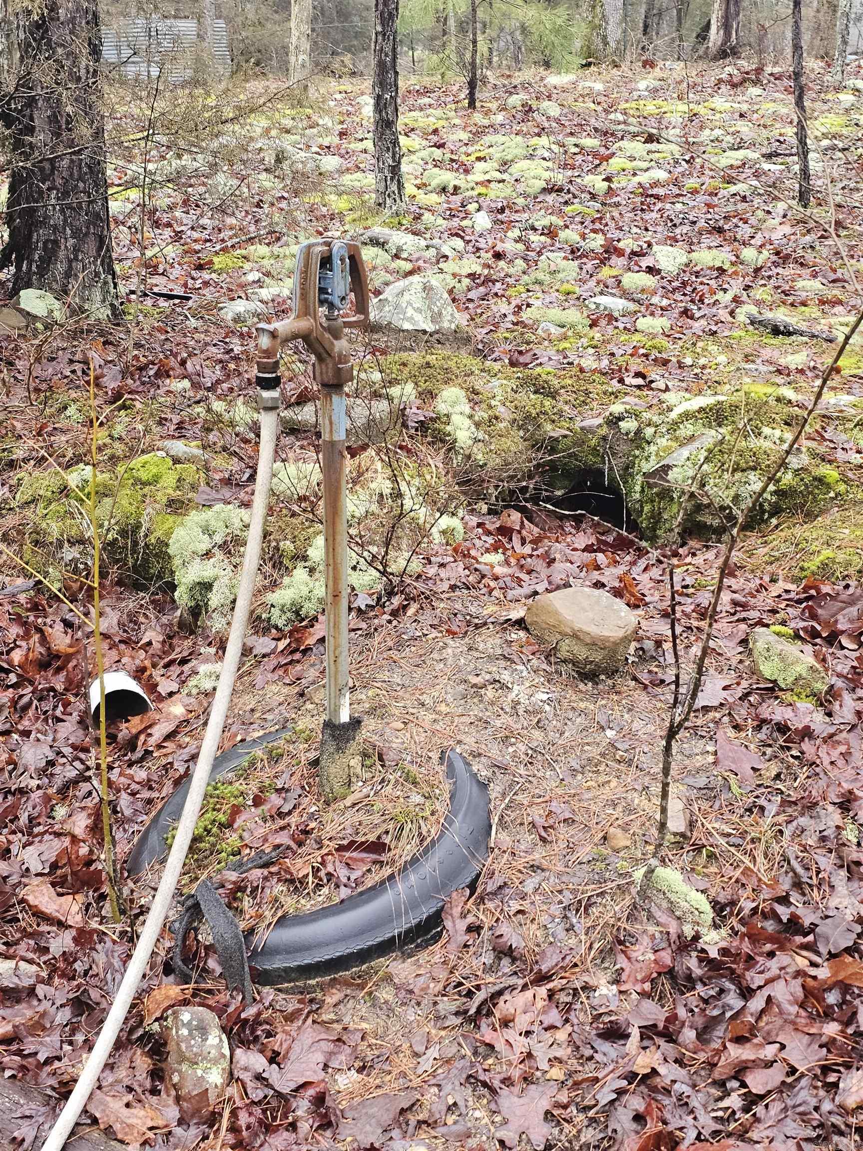 Lake Wilhelmina - Residential