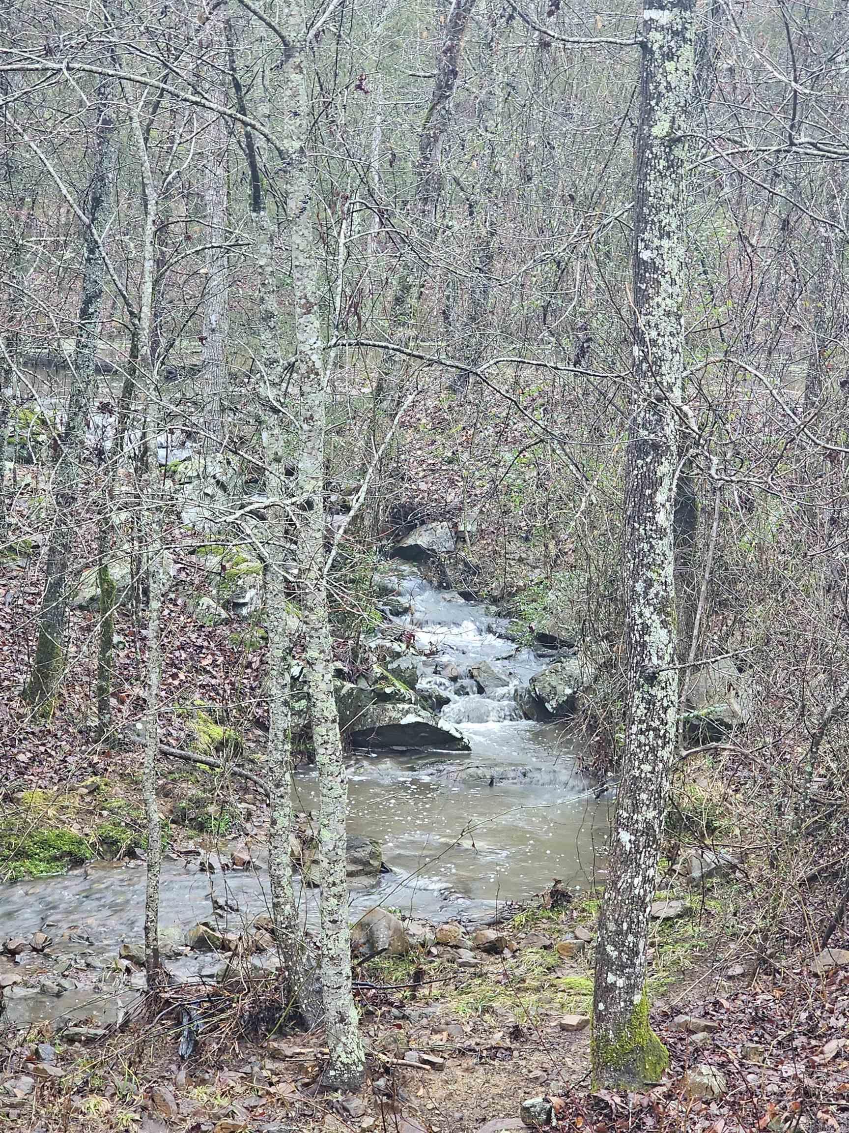 Lake Wilhelmina - Residential