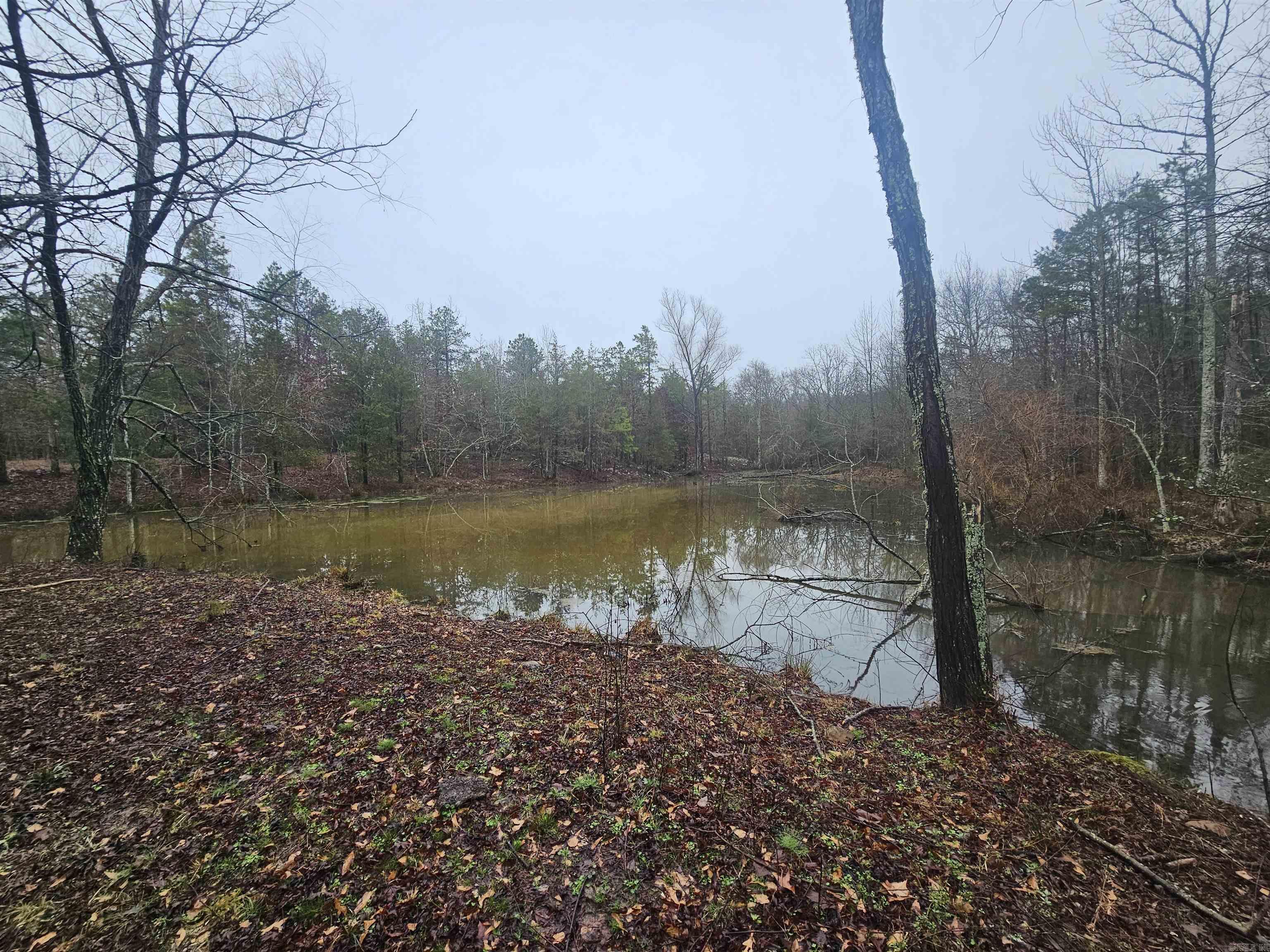 Lake Wilhelmina - Residential