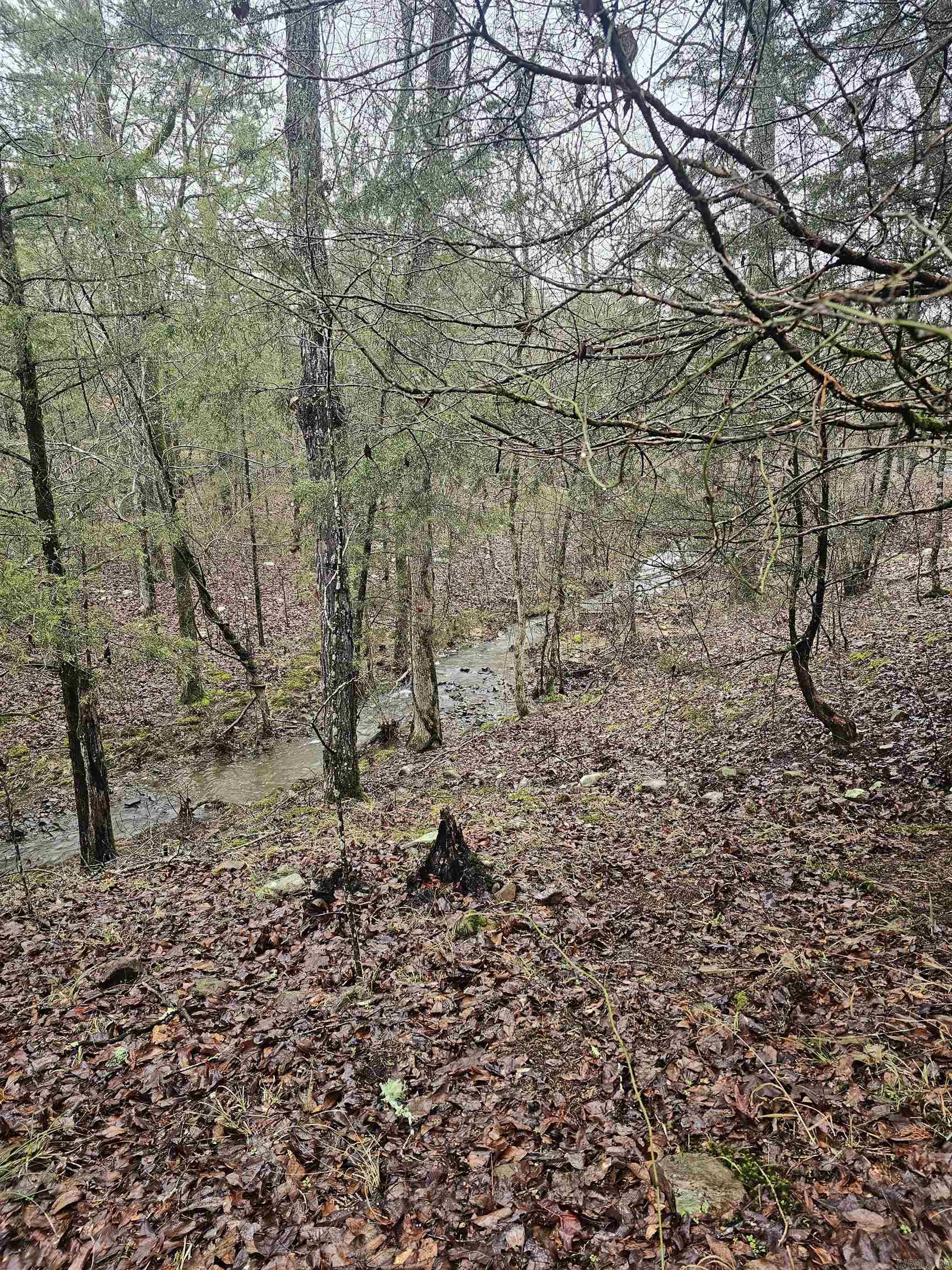 Lake Wilhelmina - Residential