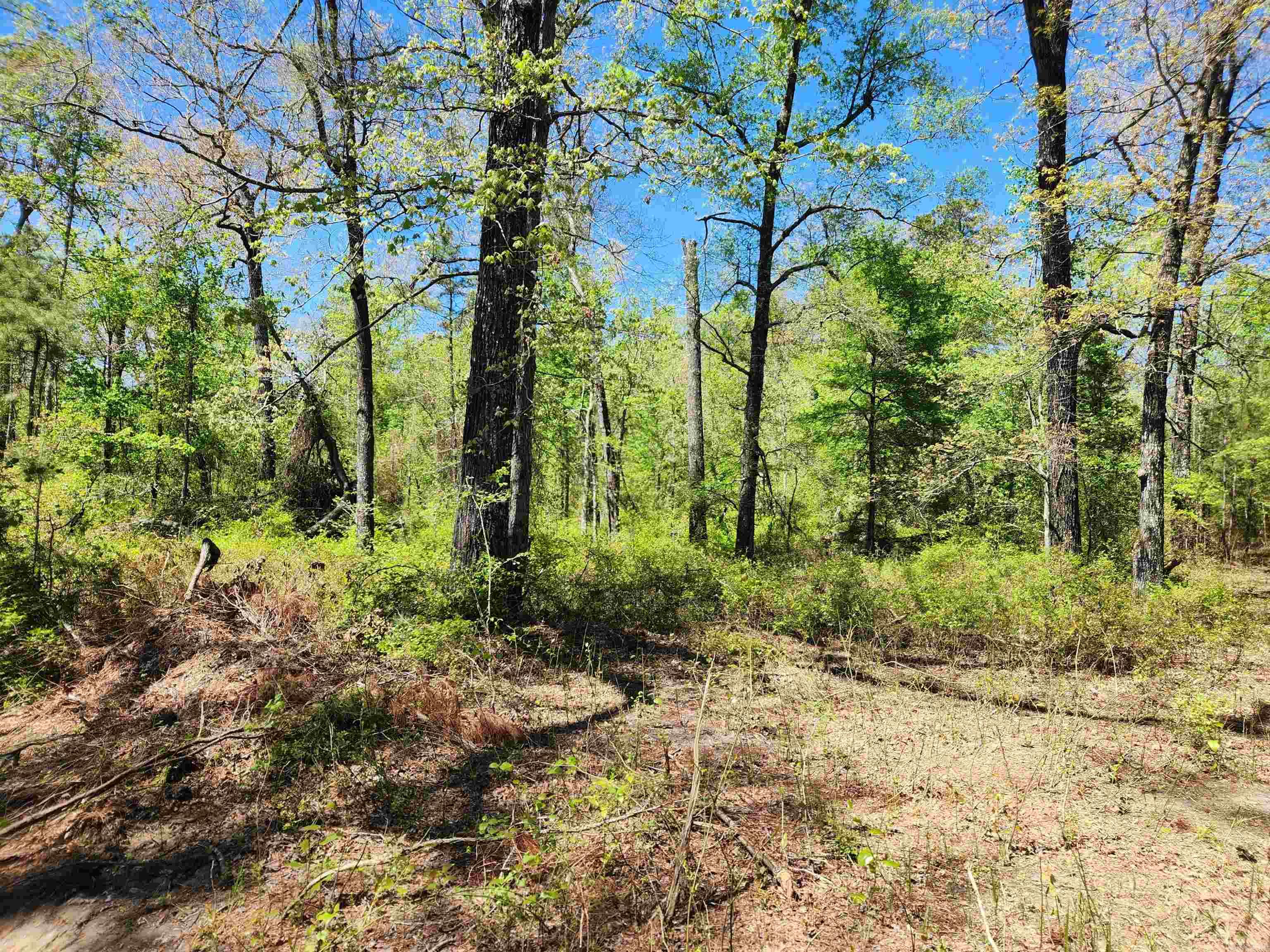 Metes & Bounds - Land