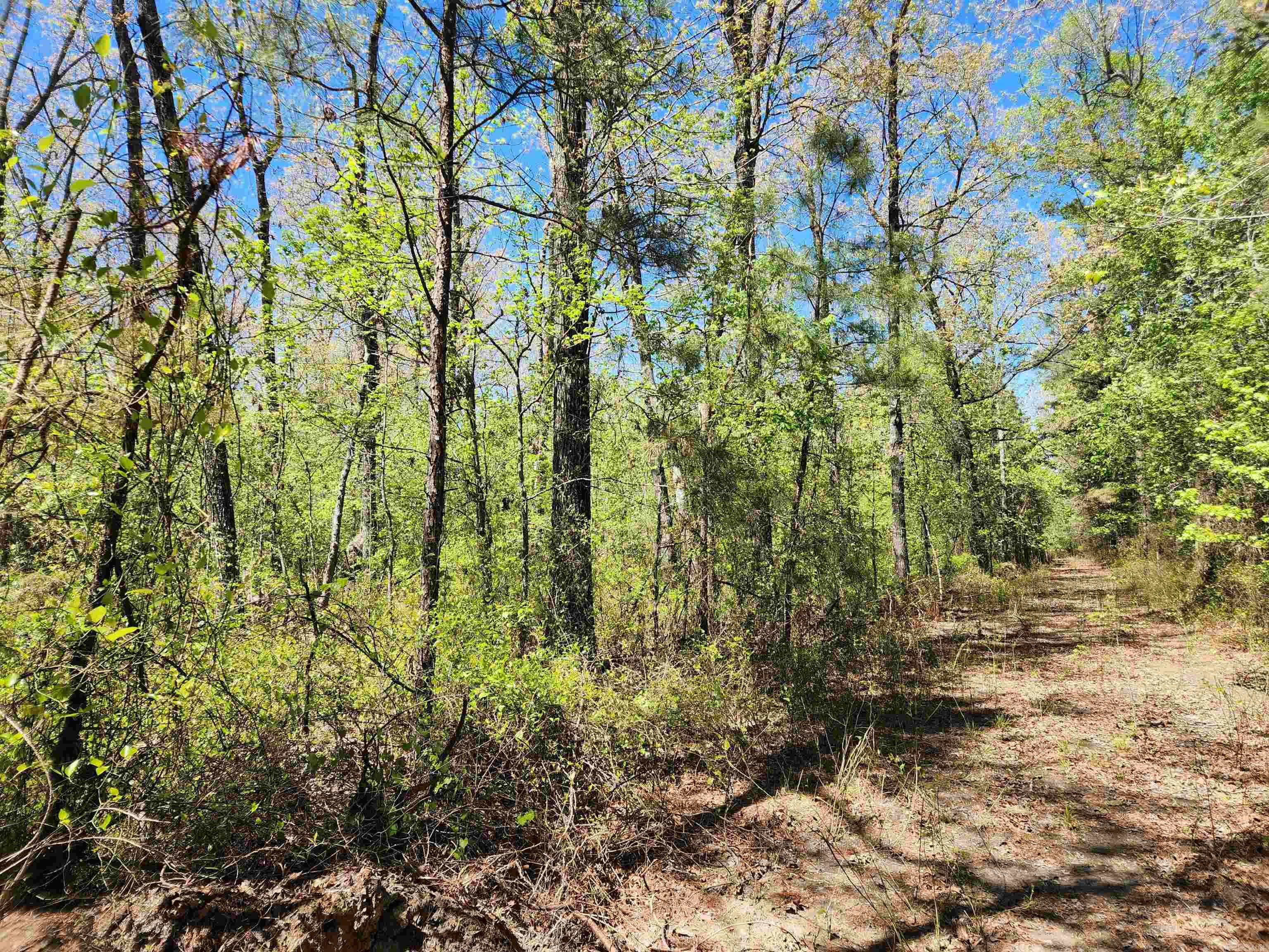 Metes & Bounds - Land