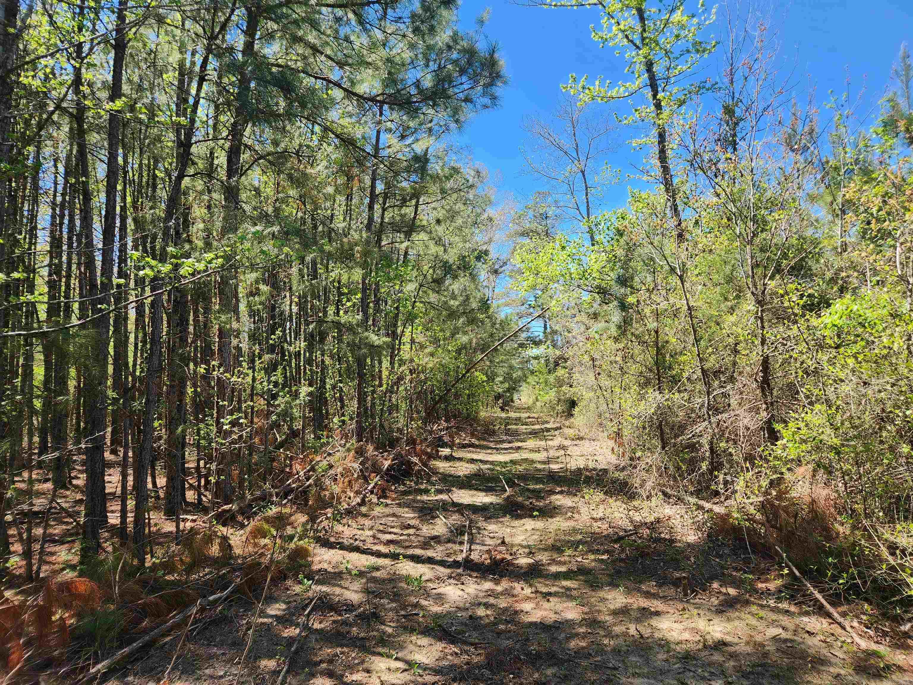 Metes & Bounds - Land