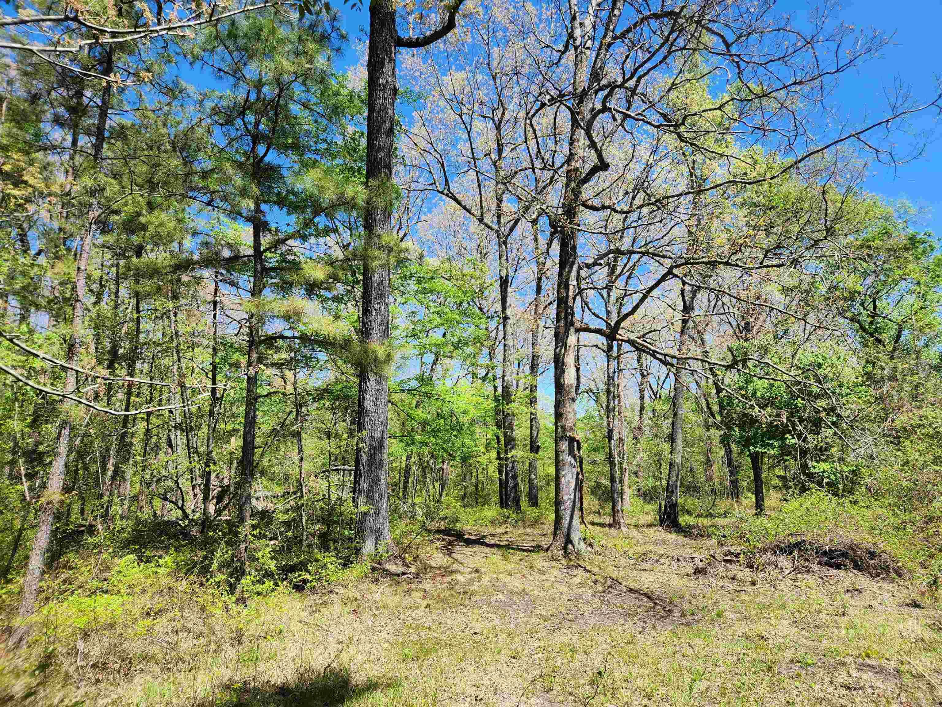 Metes & Bounds - Land