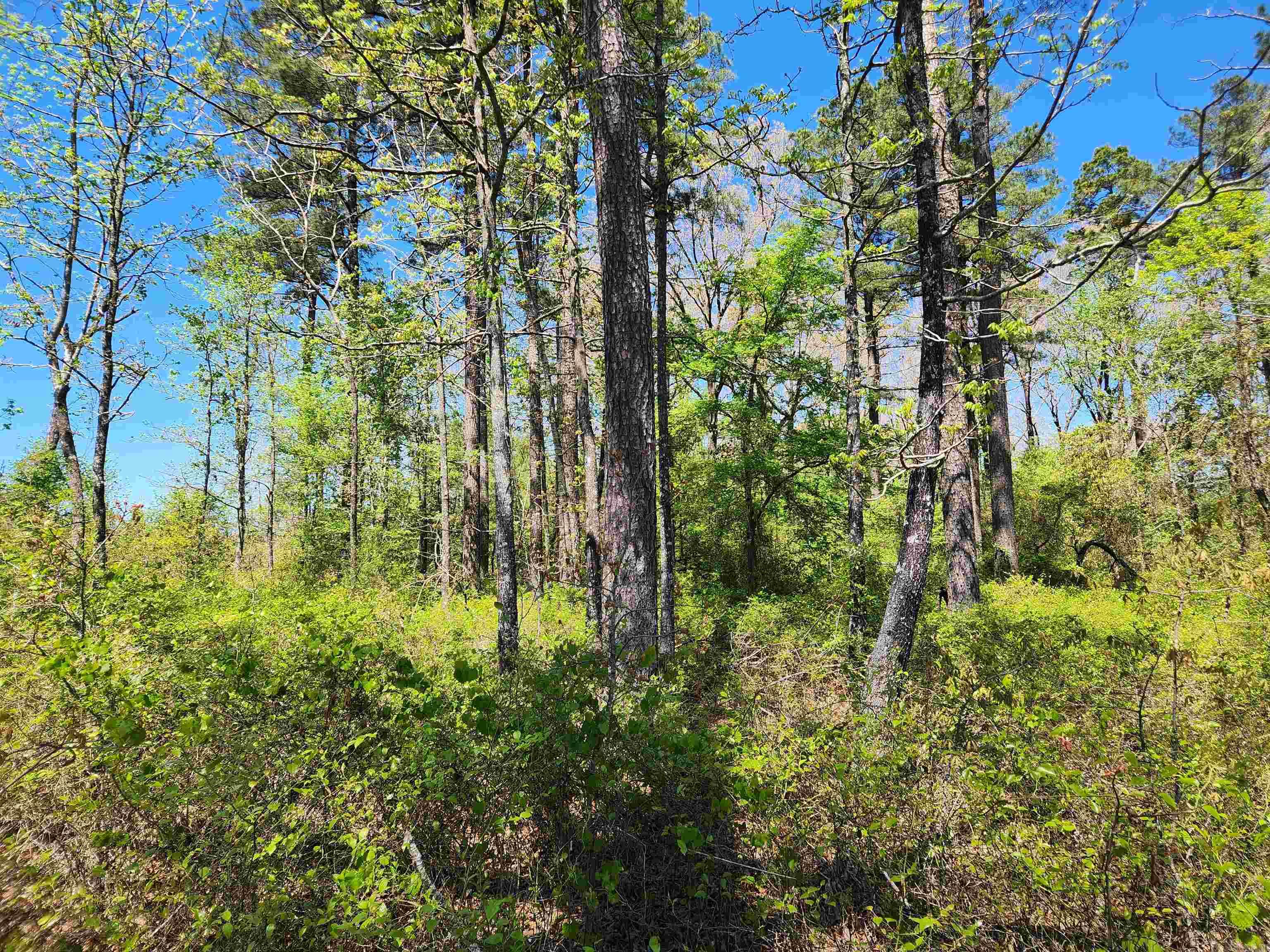 Metes & Bounds - Land