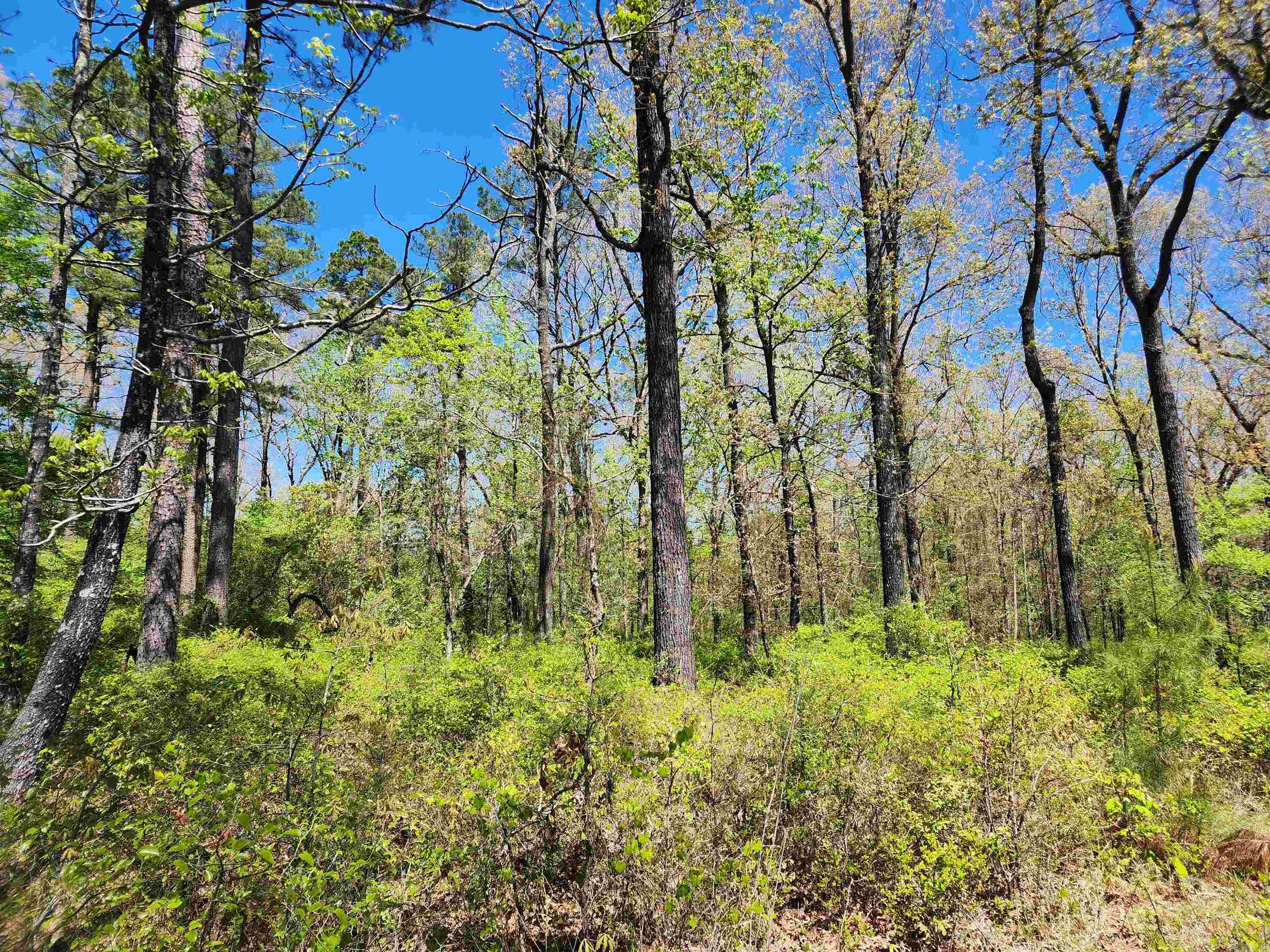 Metes & Bounds - Land