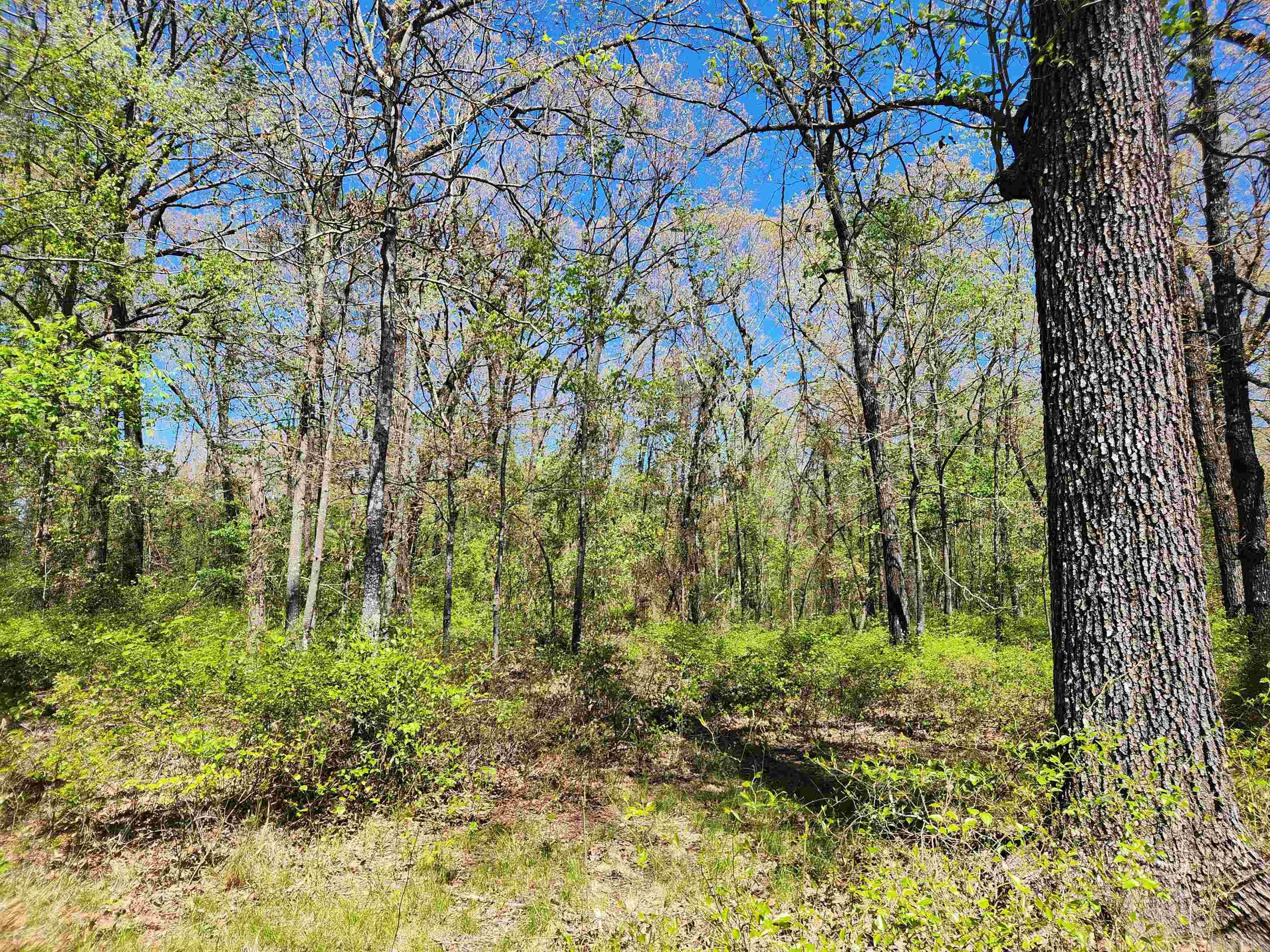 Metes & Bounds - Land