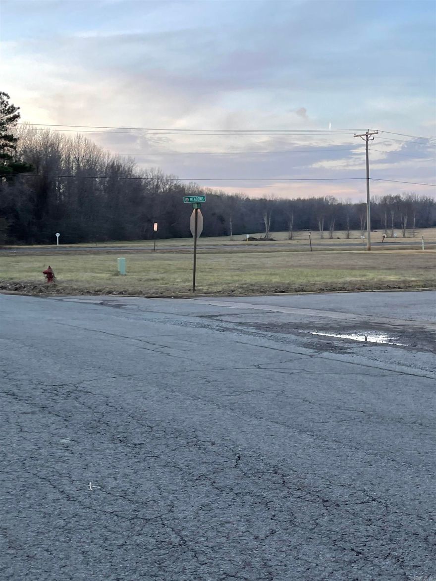 Wonderful large corner lot in the highly sought after Prairie Meadows Subdivision! Call now to have a chance to build in this beautiful established neighborhood!