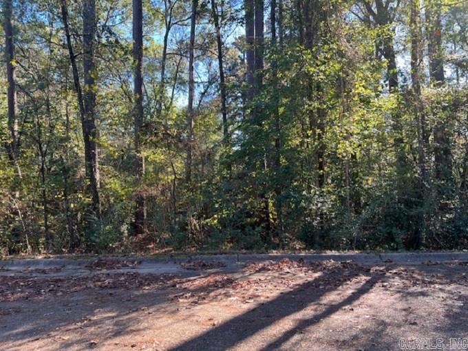 Looking to build, take a look at these lovely lots located on Mockingbird Lane. Buy one or multiple with 4 in a row to choose from. They are priced to sale and Perfect for individuals wanting to build their dream home or investors ready to build a spec home. Call today for more information.