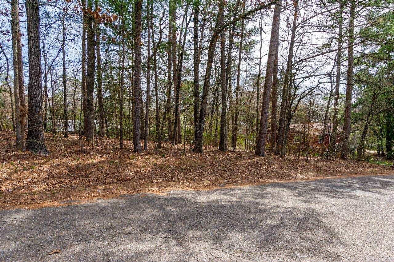 Lake Hamilton Shores #2 - Residential