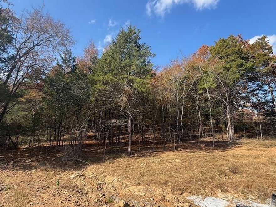 Wooded lot perfect for building your home or building a home to sale.  You could leave trees at the back of the lot for privacy.  All utilities are on the property. 1450 sq. ft. minimum