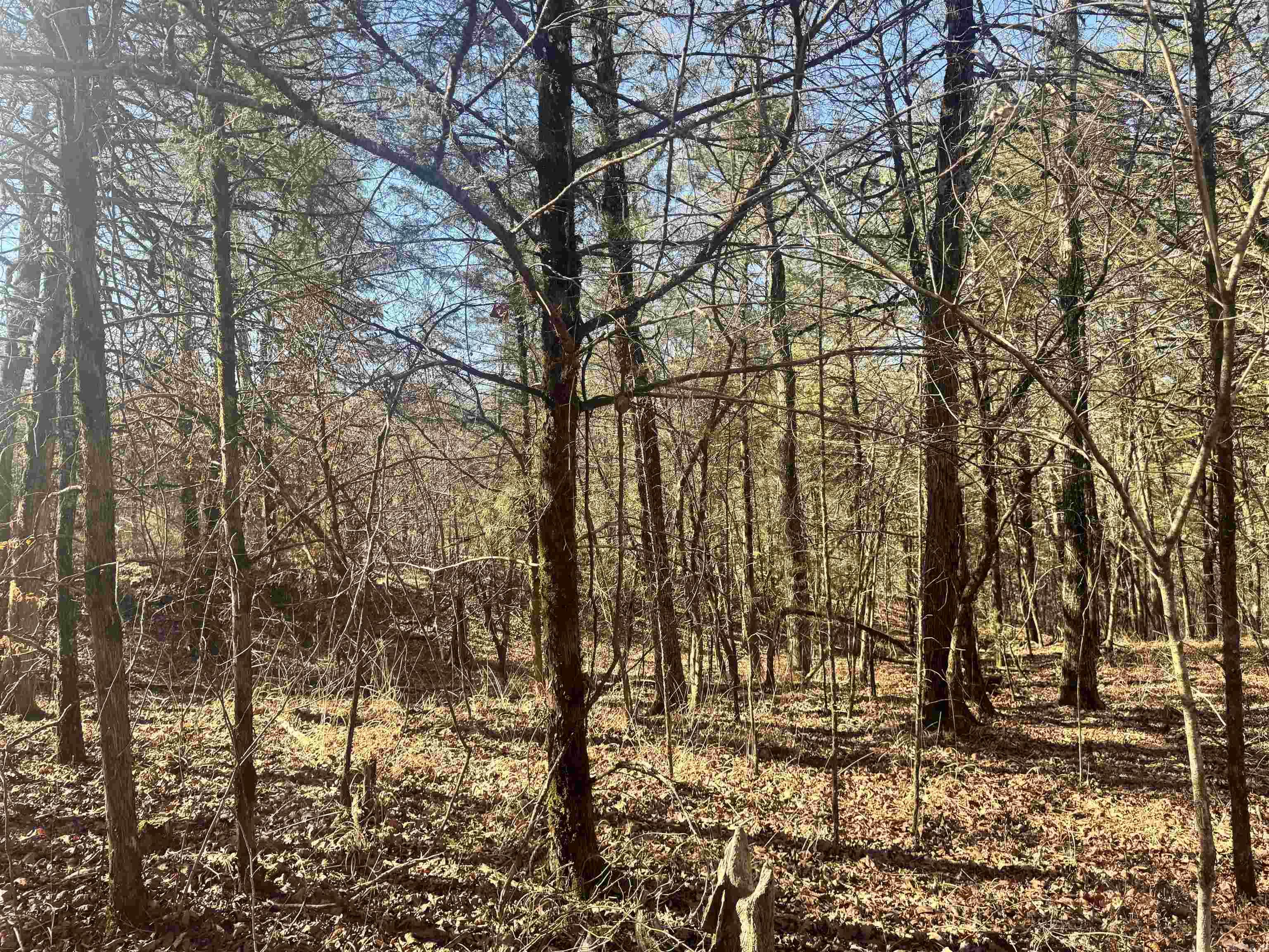 Alder Springs-Rocky - Land