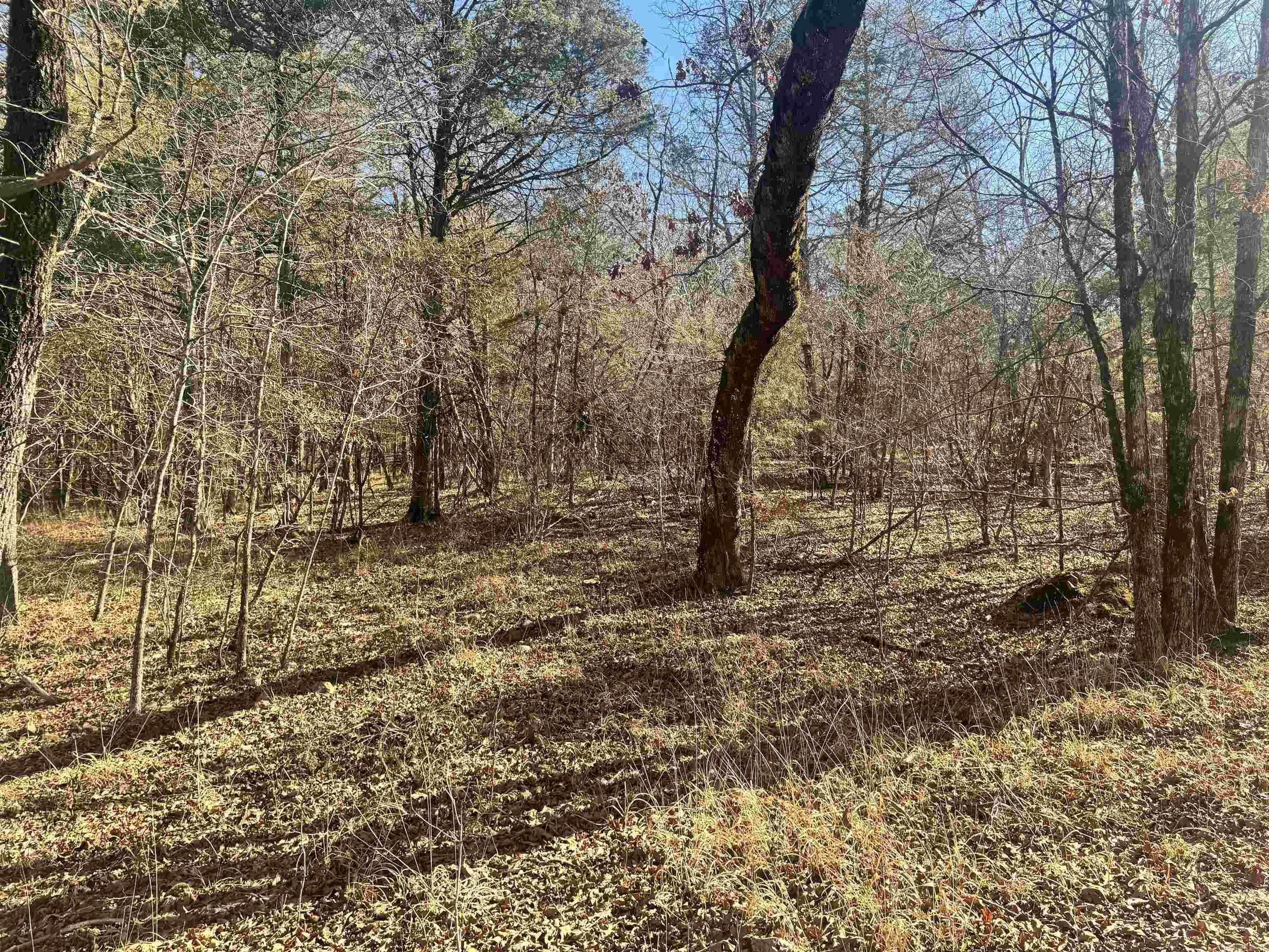 Alder Springs-Rocky - Land