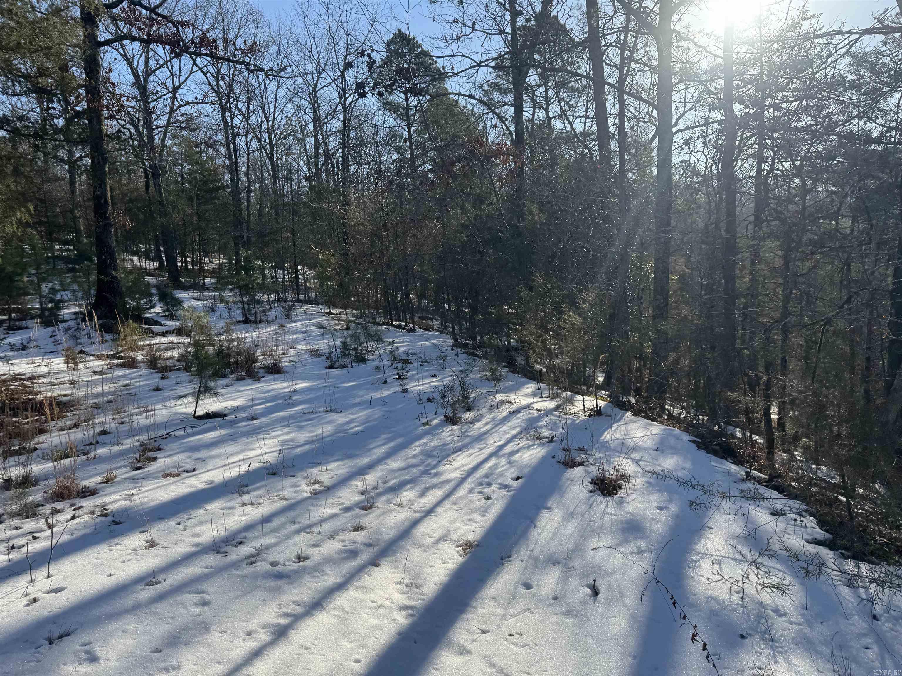 Alder Springs-Rocky - Land