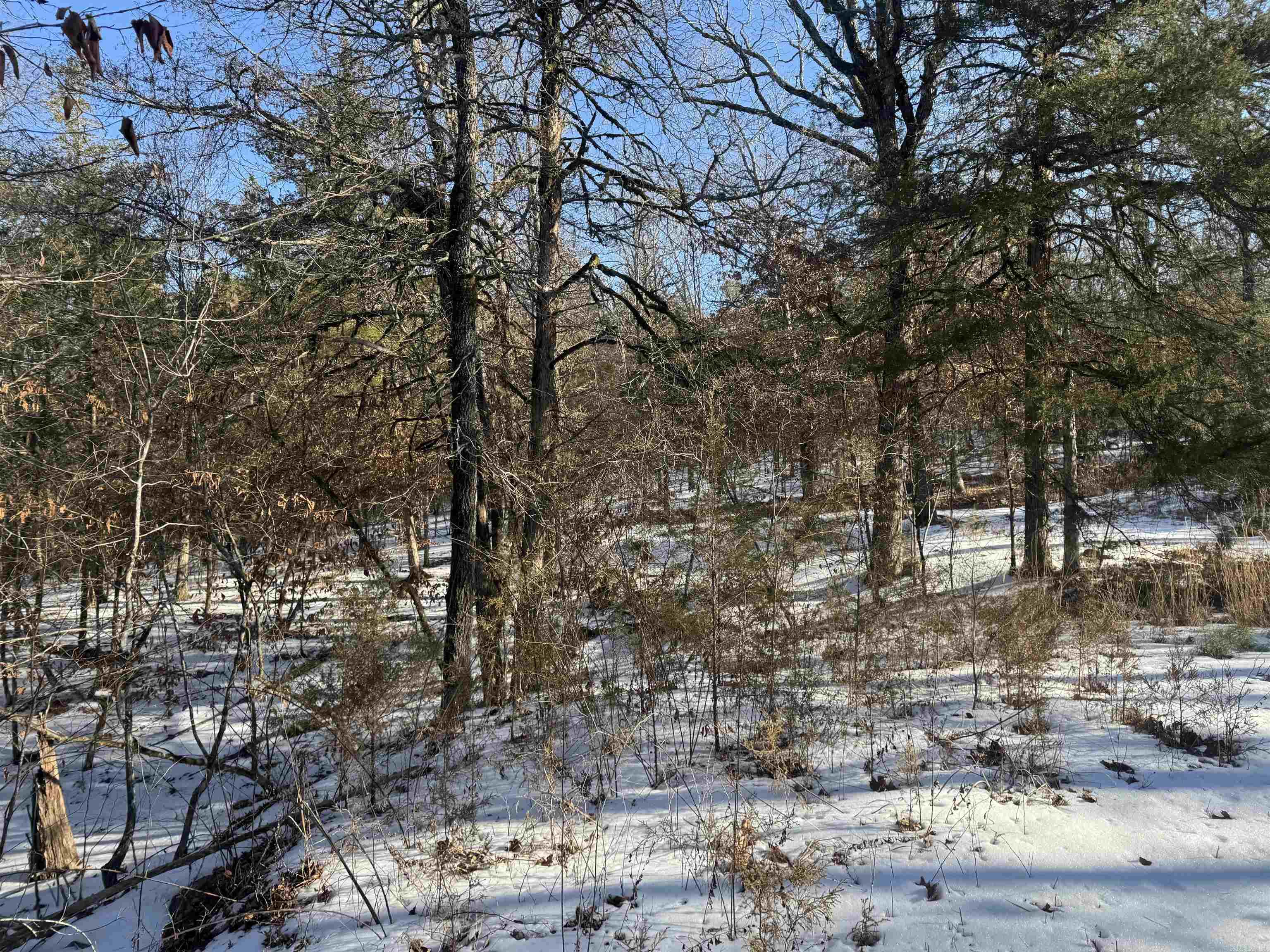 Alder Springs-Rocky - Land