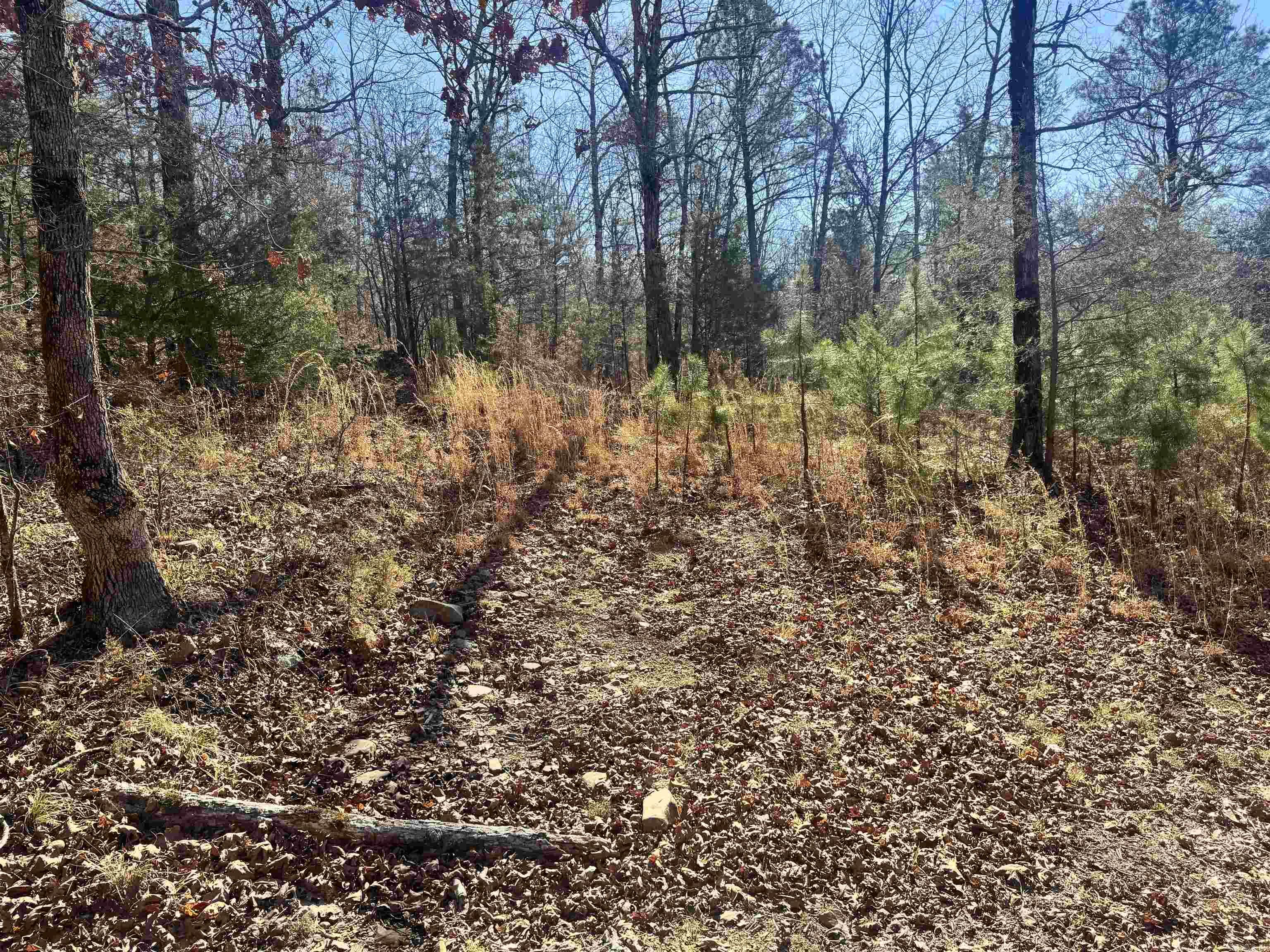 Alder Springs-Rocky - Land