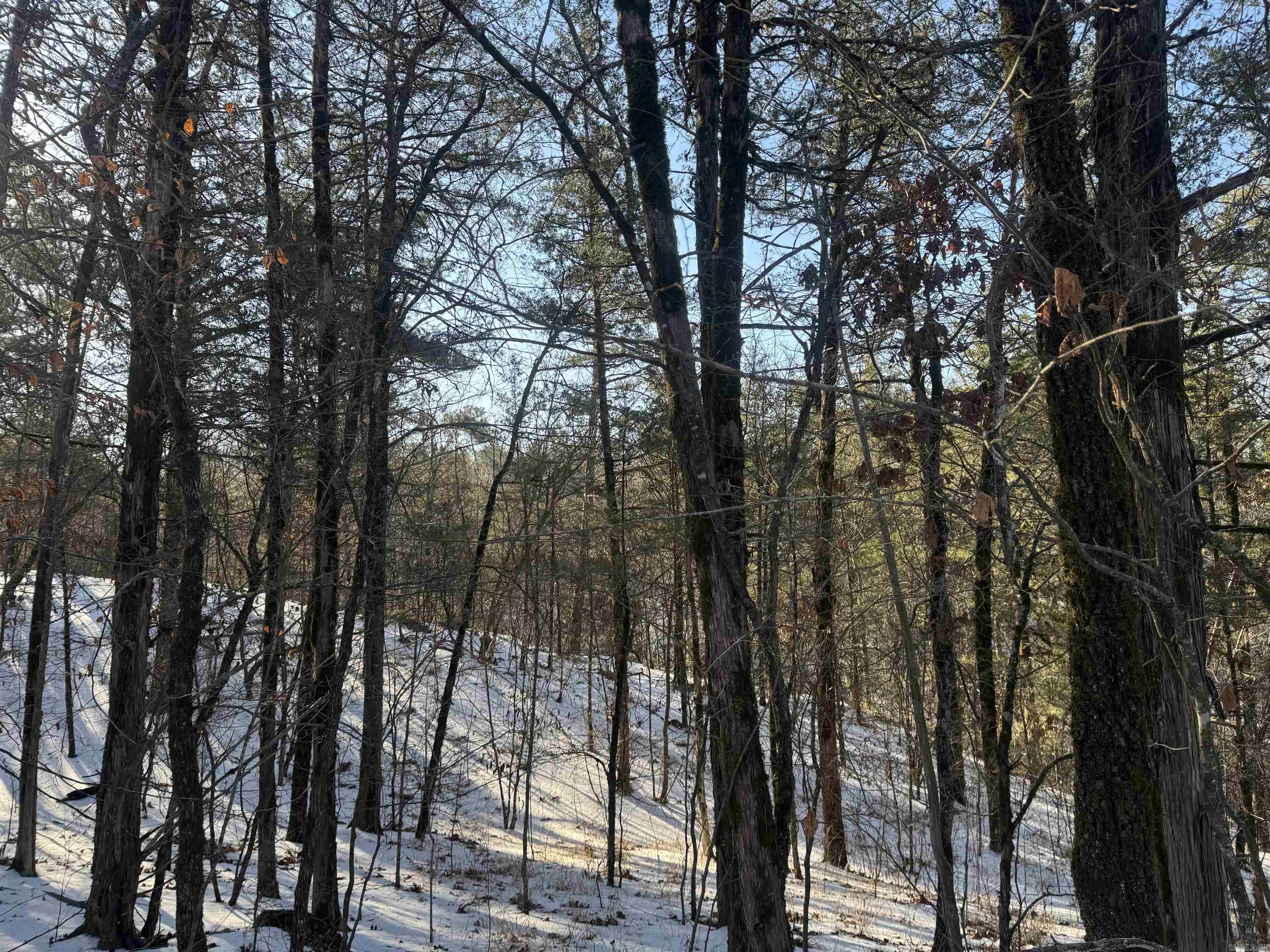 Alder Springs-Rocky - Land