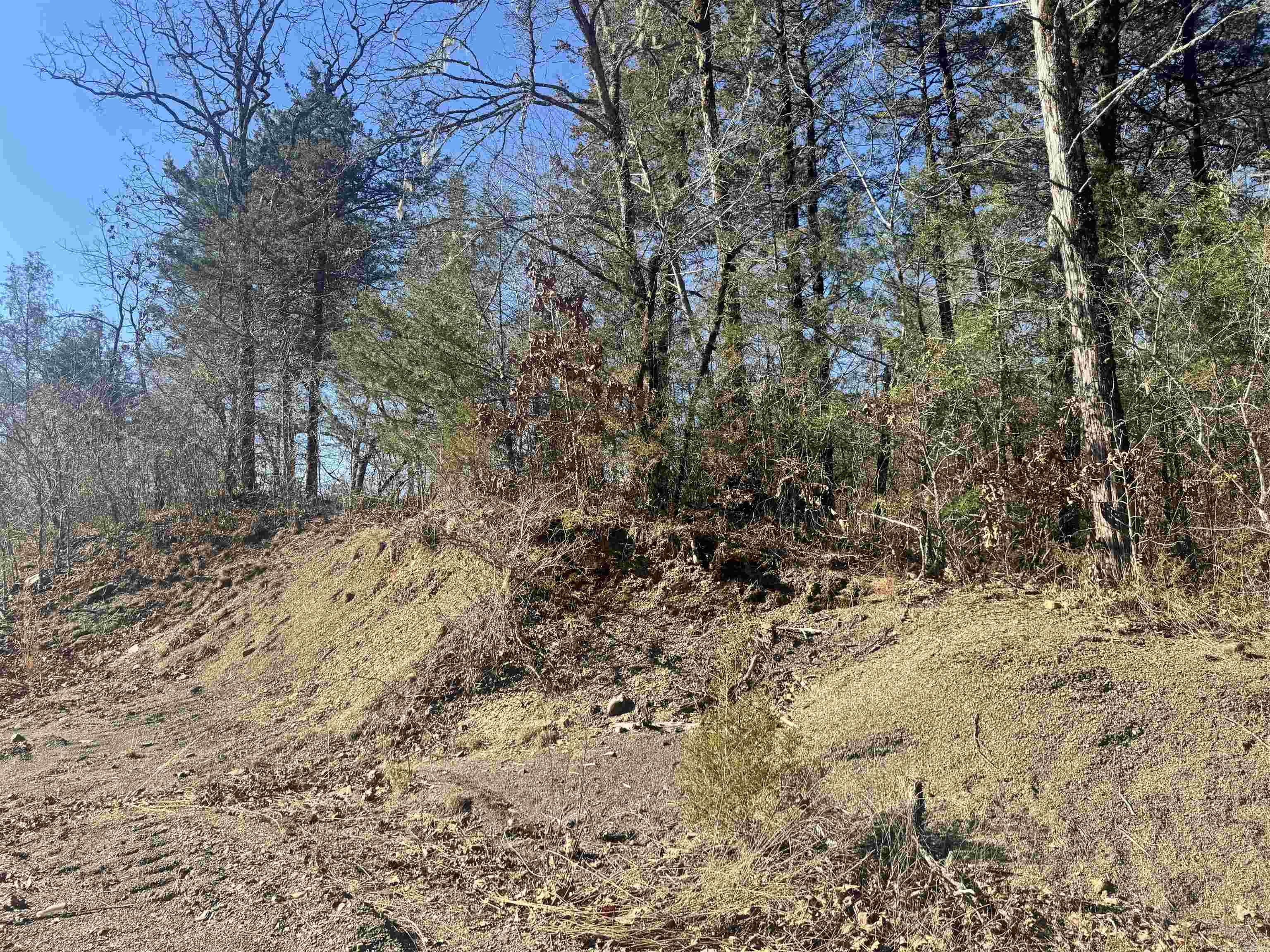 Alder Springs-Rocky - Land