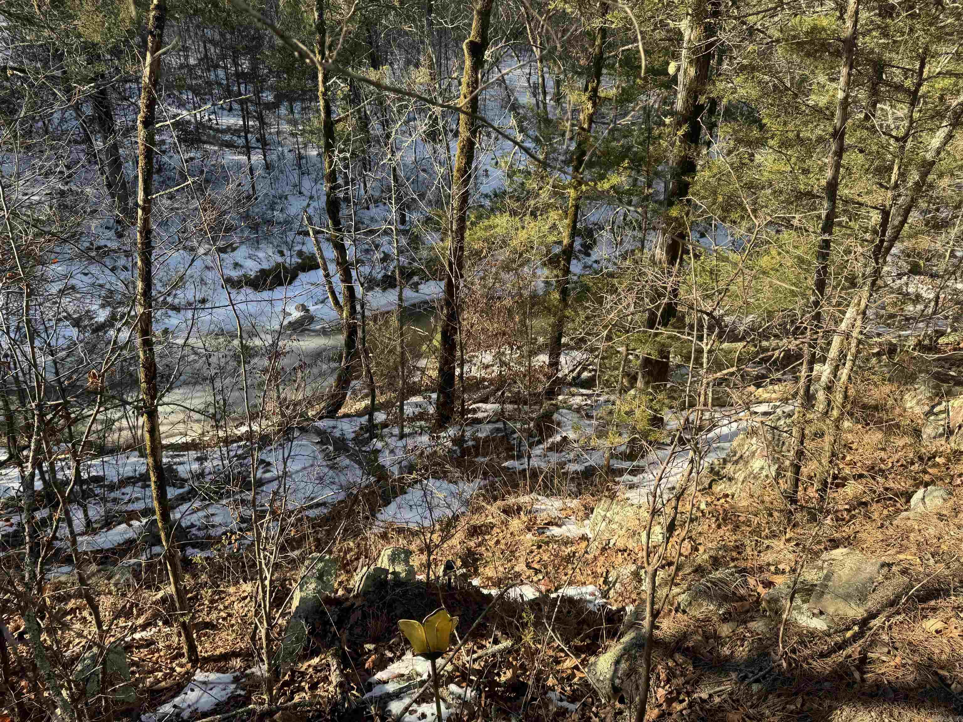 Alder Springs-Rocky - Land