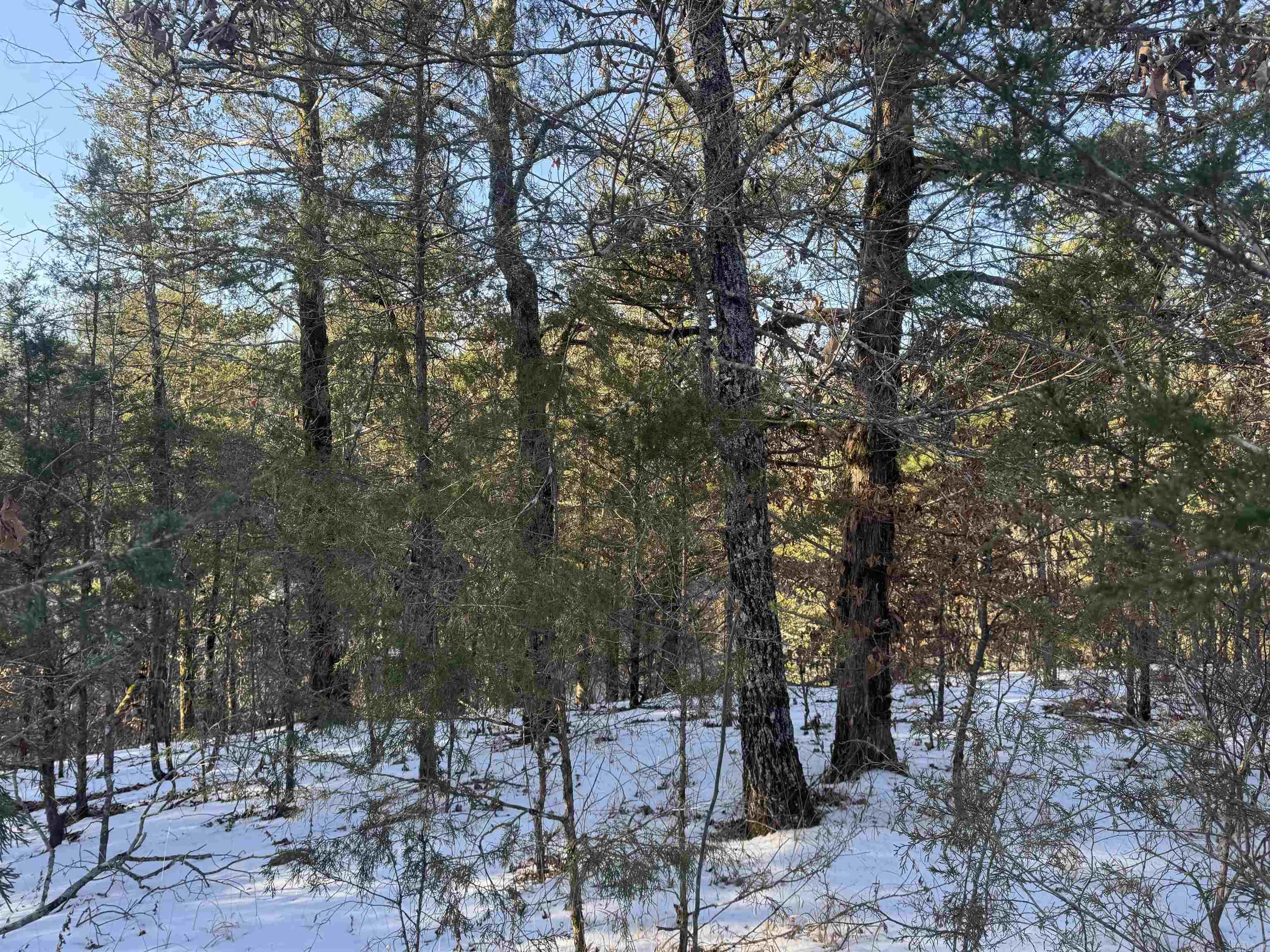 Alder Springs-Rocky - Land