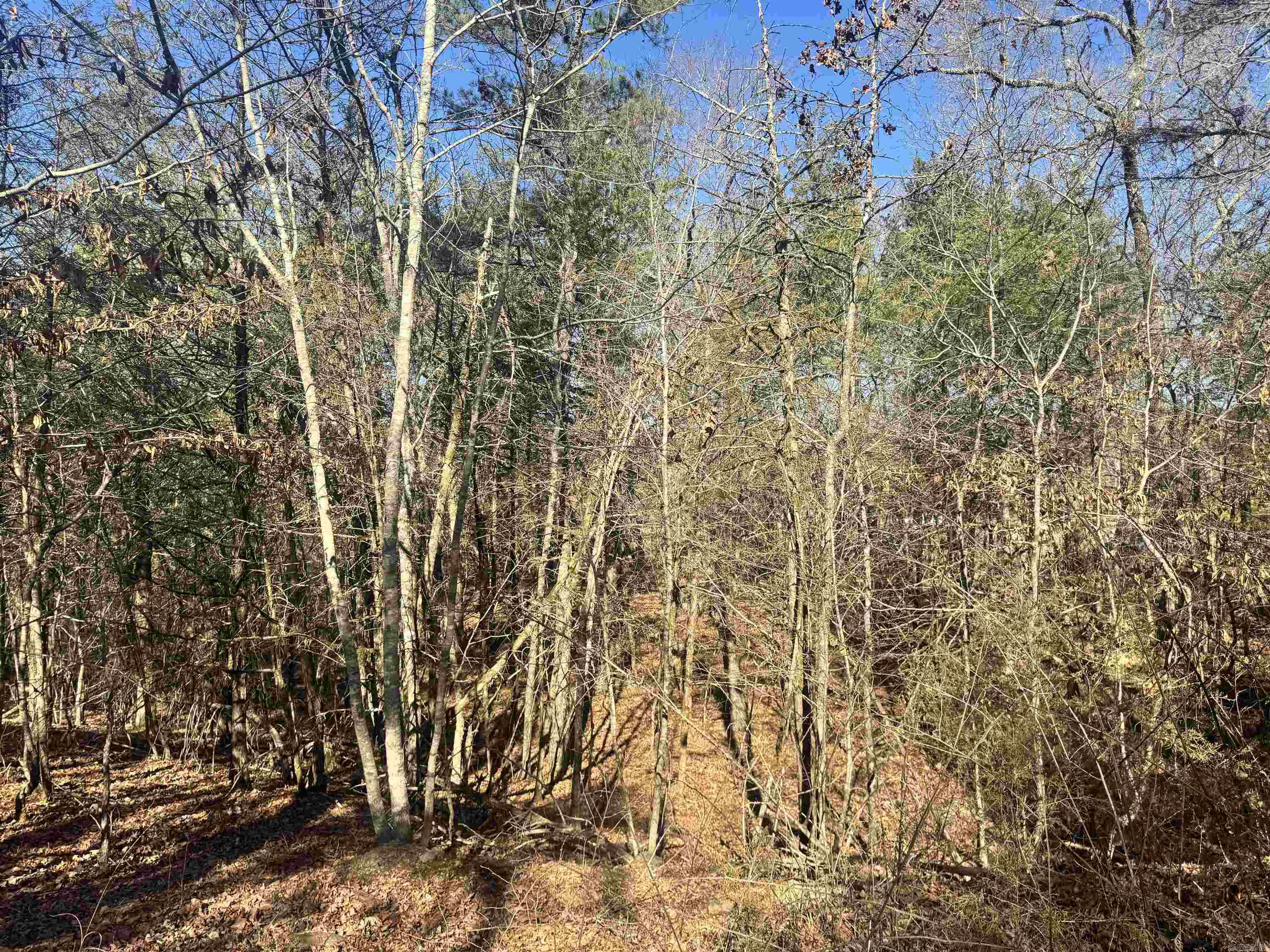 Alder Springs-Rocky - Land