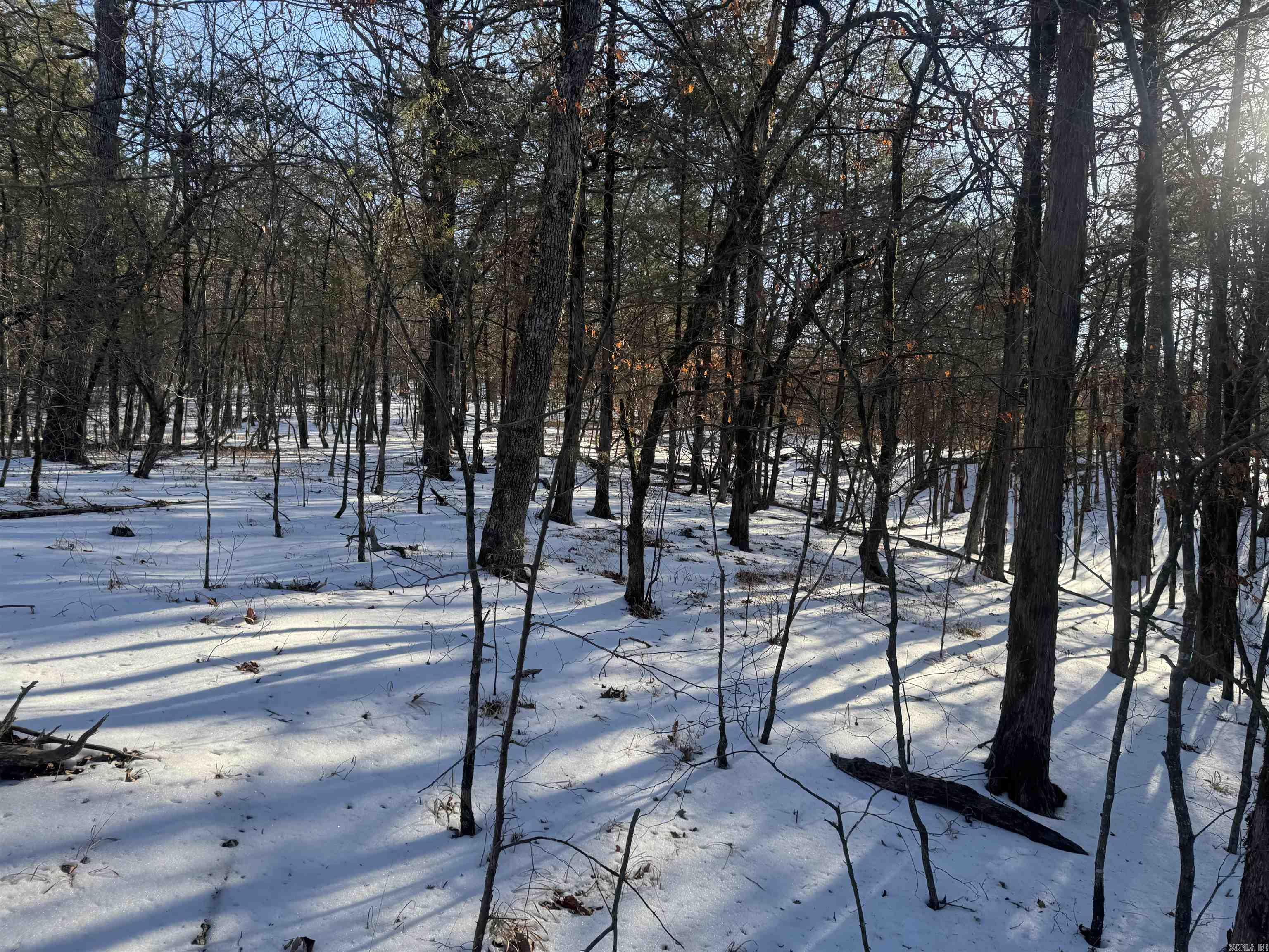 Alder Springs-Rocky - Land