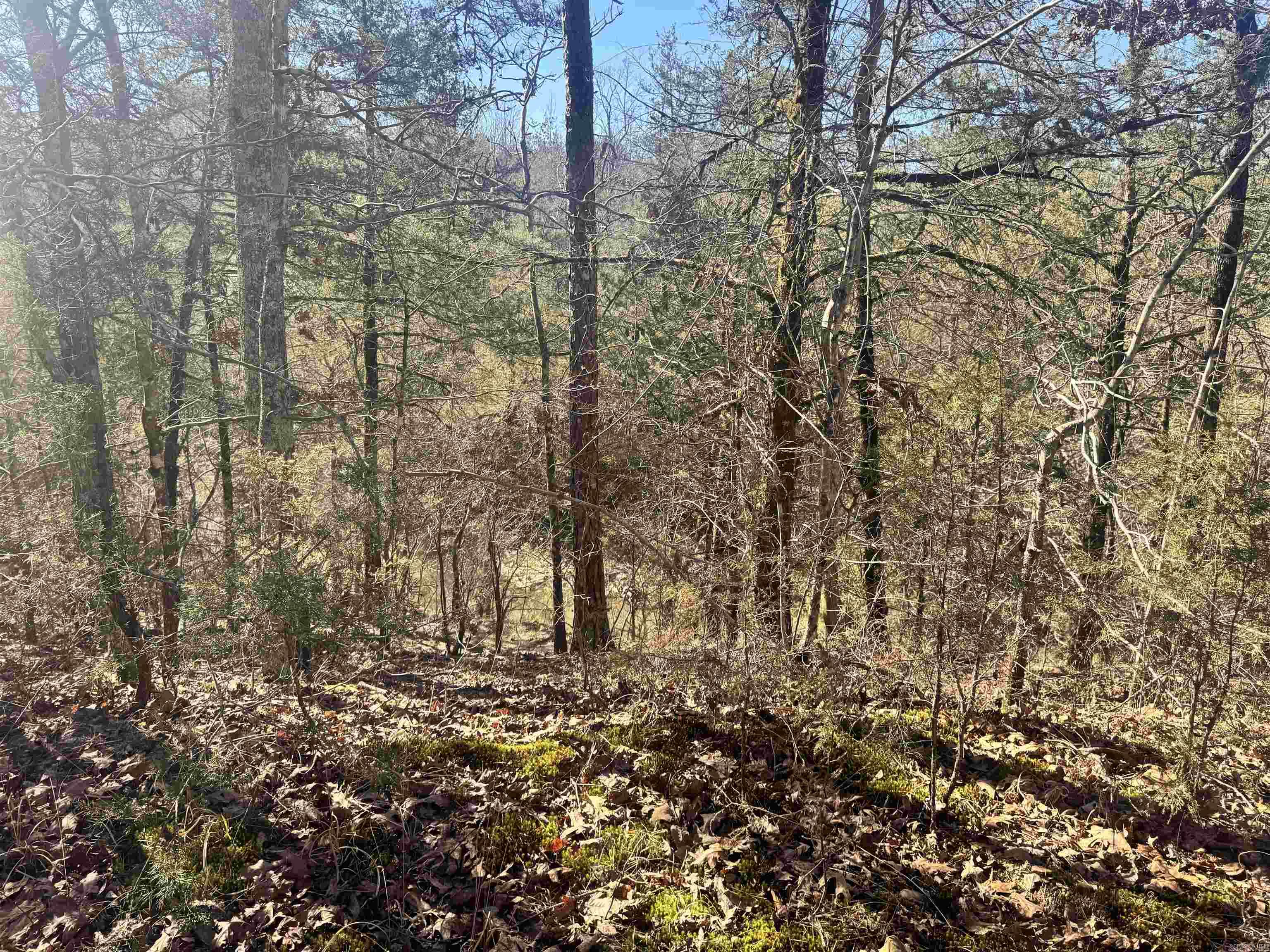 Alder Springs-Rocky - Land