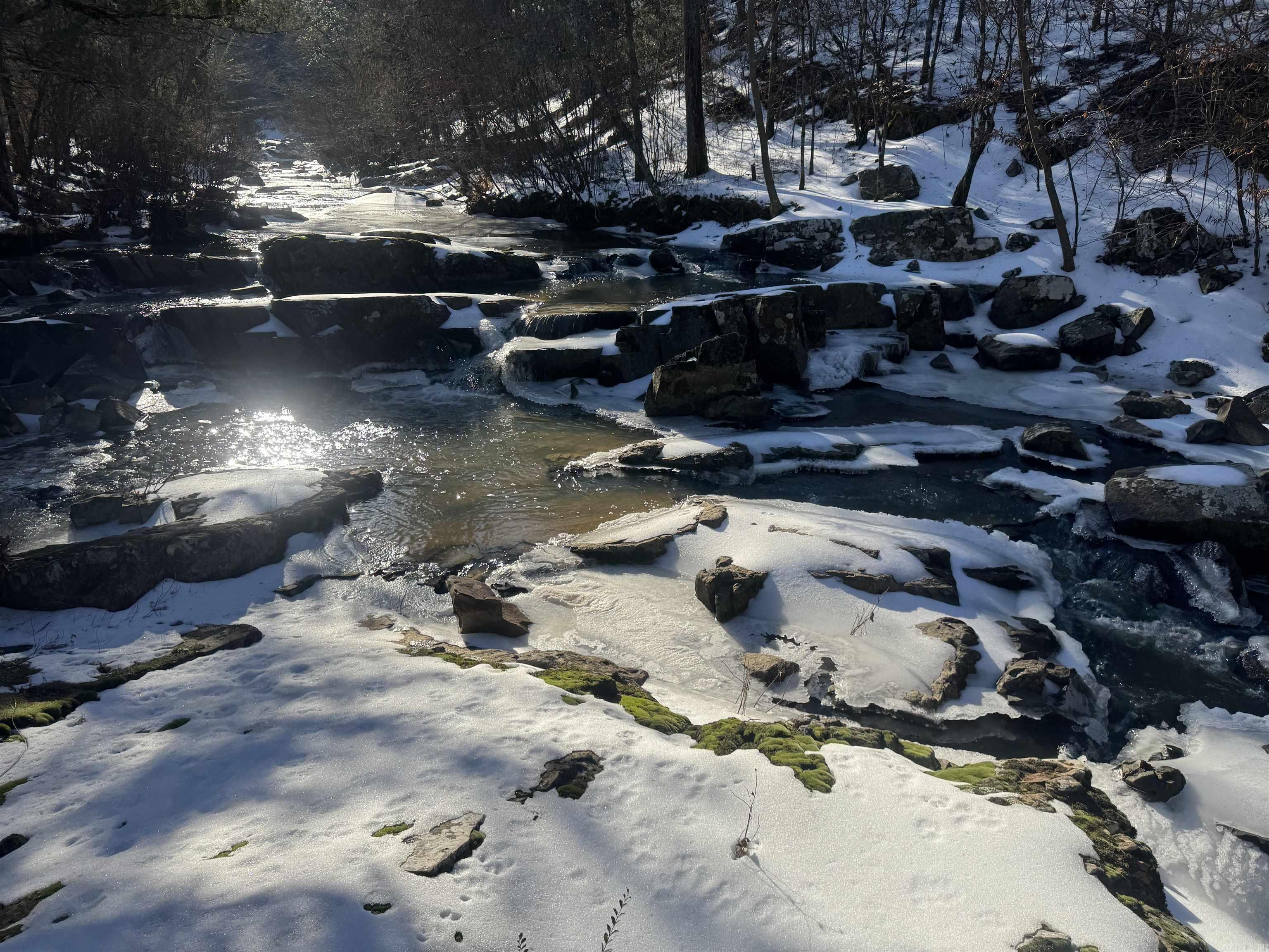 Alder Springs-Rocky - Land