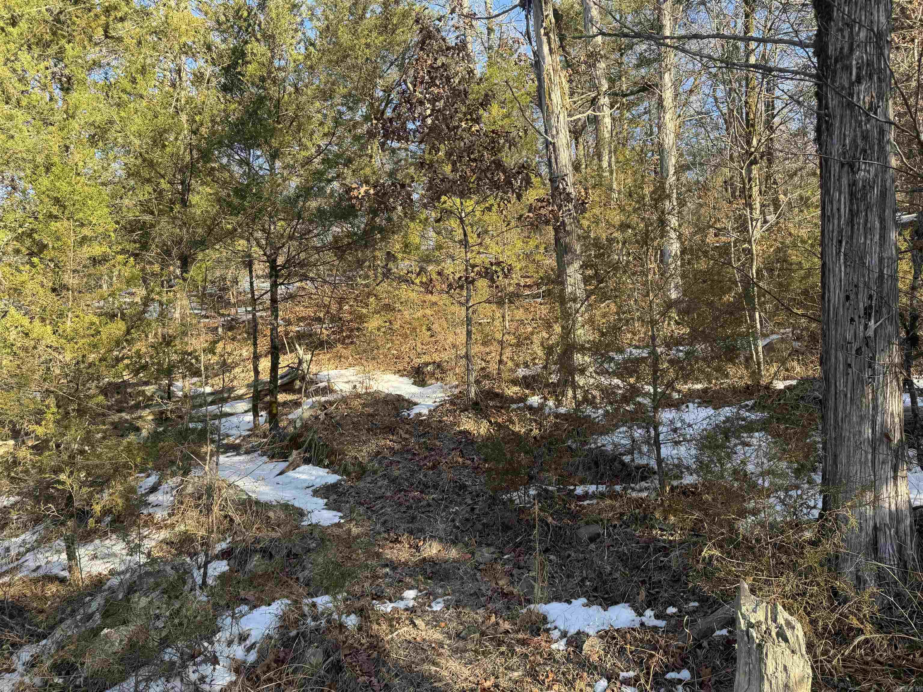 Alder Springs-Rocky - Land